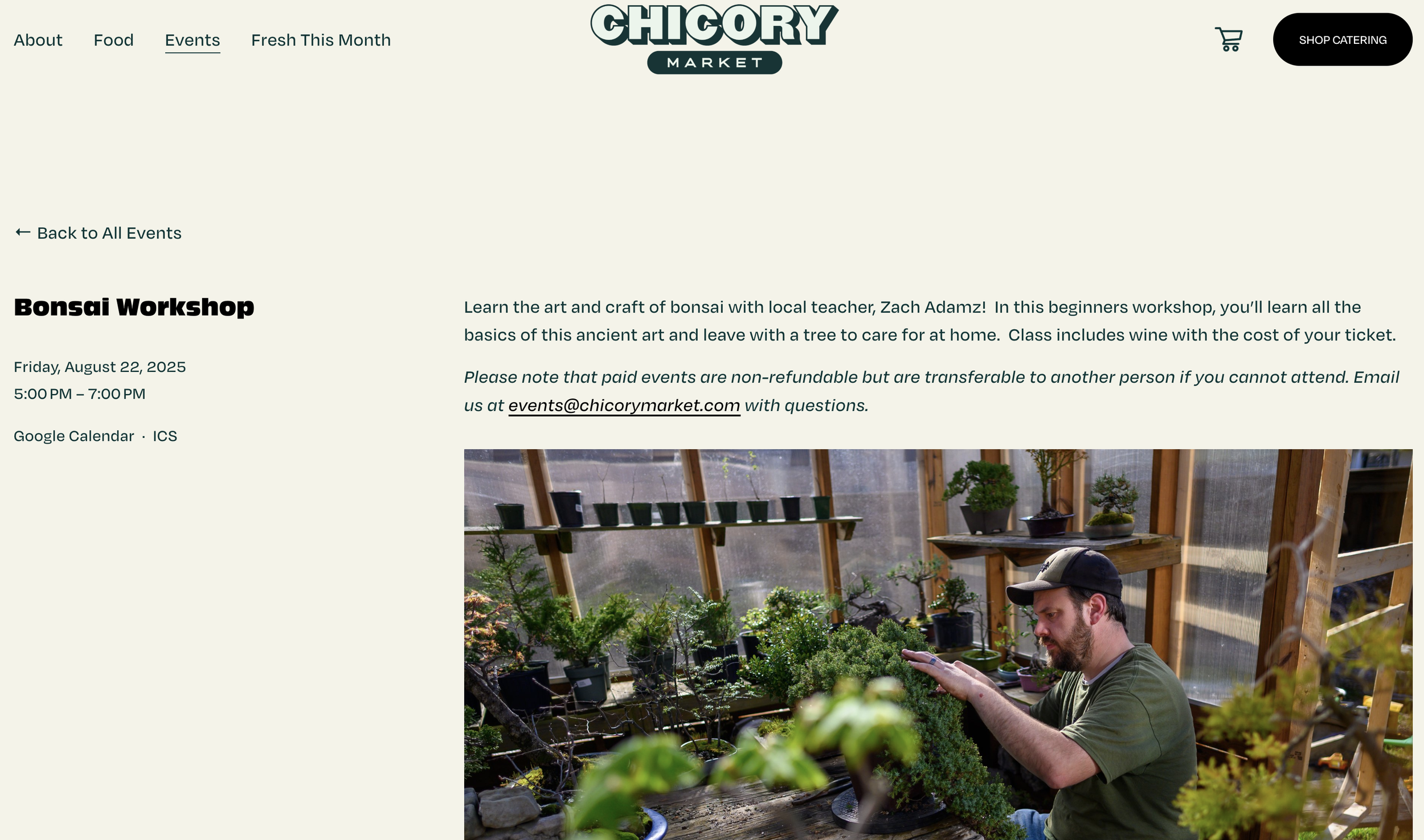 Chircory Market Bonsai Workshop