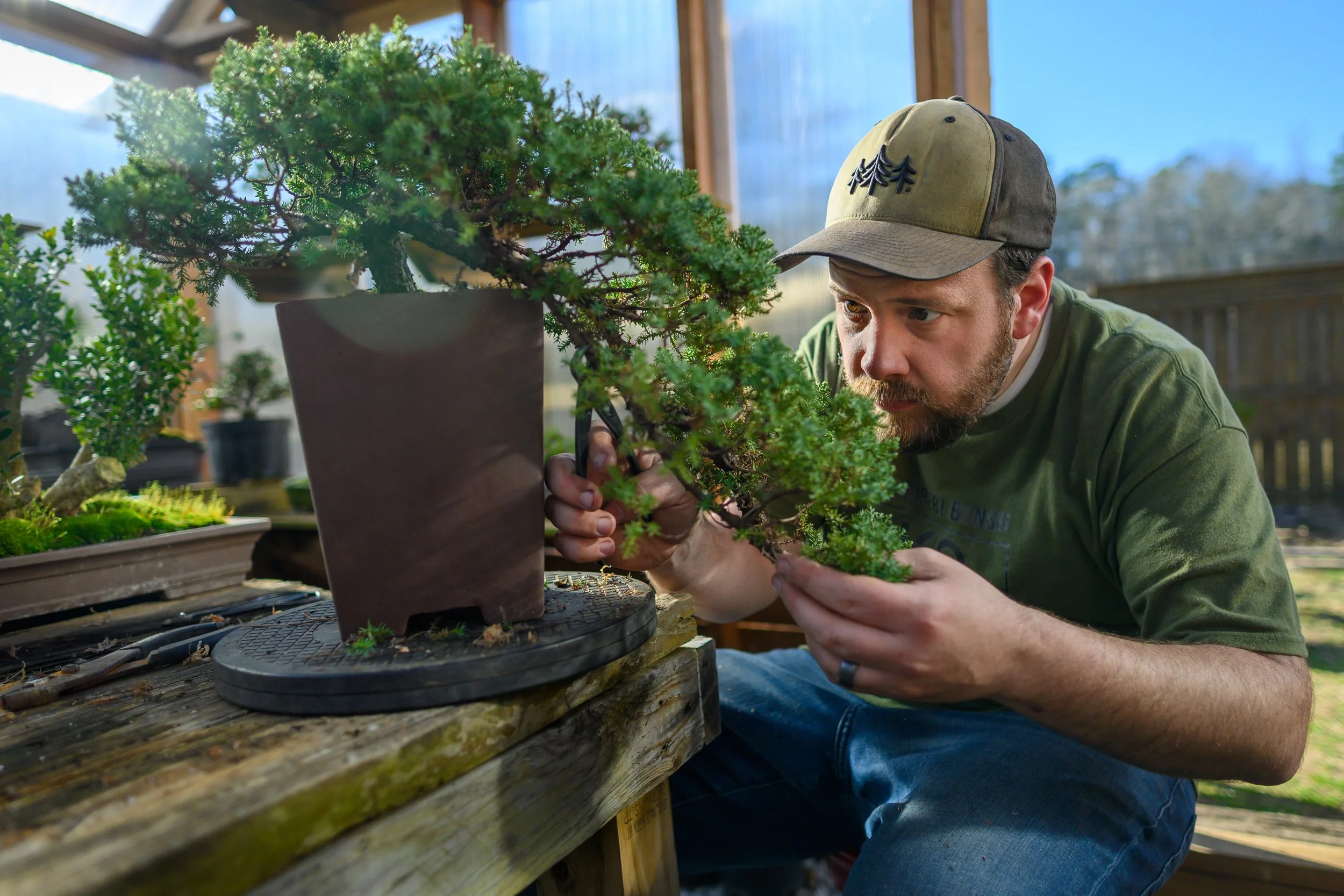 C'est Bonsai 2026 - Bonsai Exhibition & Vendor Event
