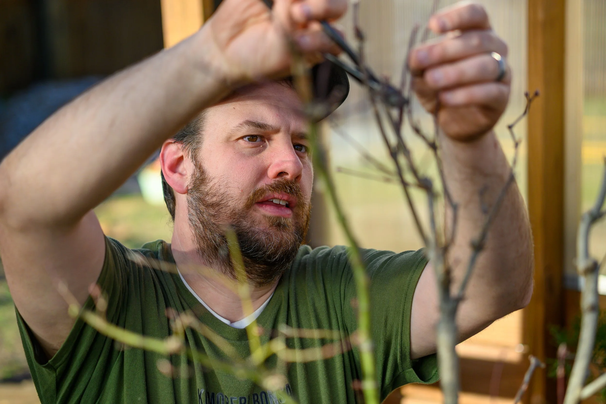 Dallas Bonsai Society Visiting Demonstration & Workshop