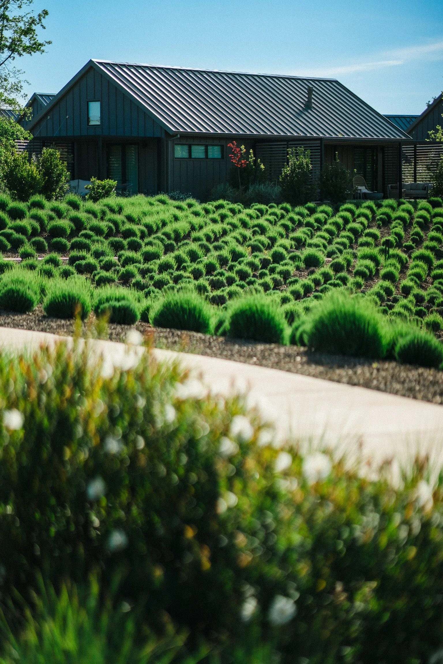 Stanly Ranch Wedding