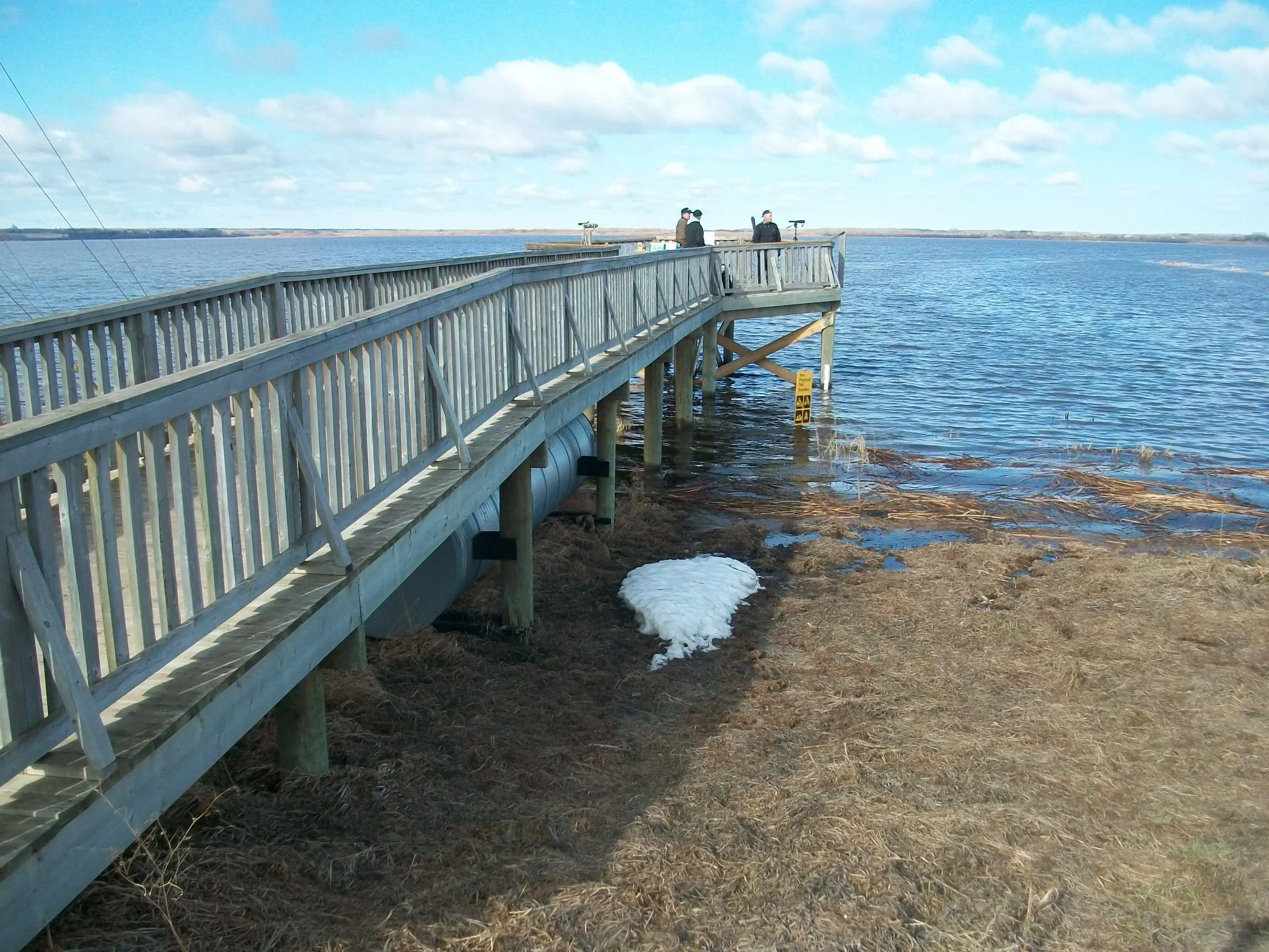 Springing to Life Returns!