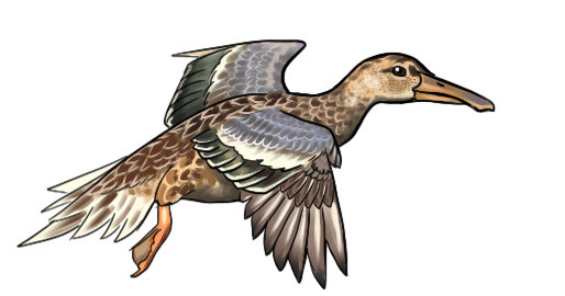 Springing to Life - Day 1