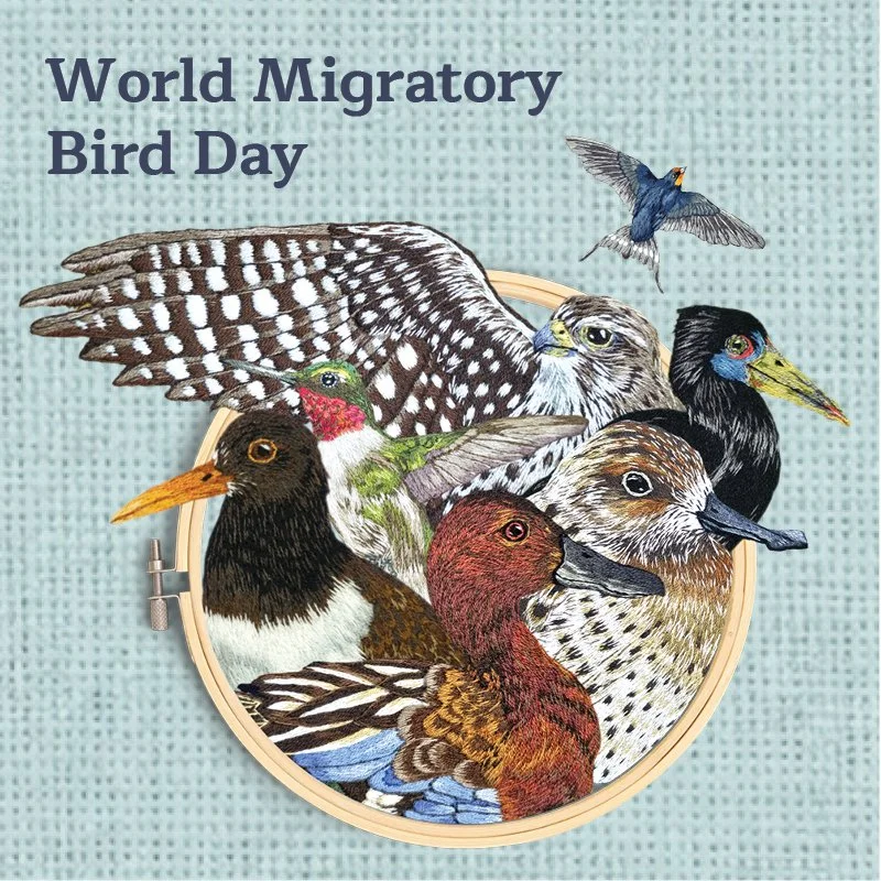 World Migratory Bird Day