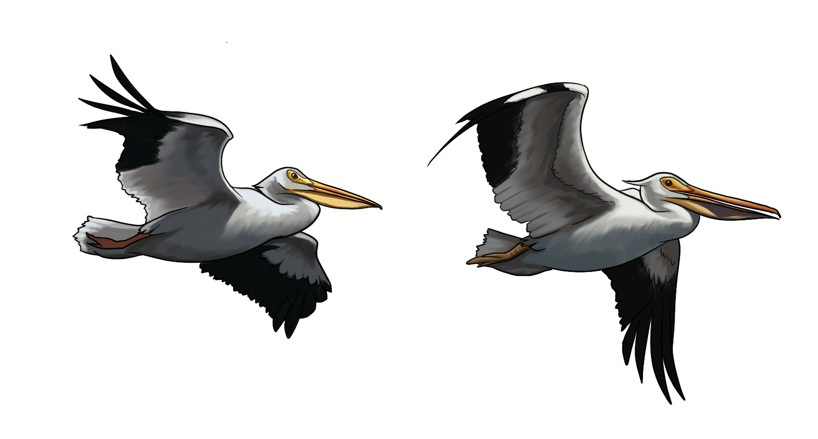 Springing to Life - Day 2