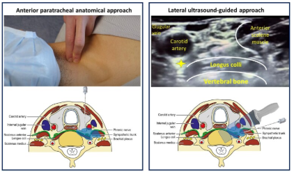 Taming the Heart: Beyond ACLS&nbsp;