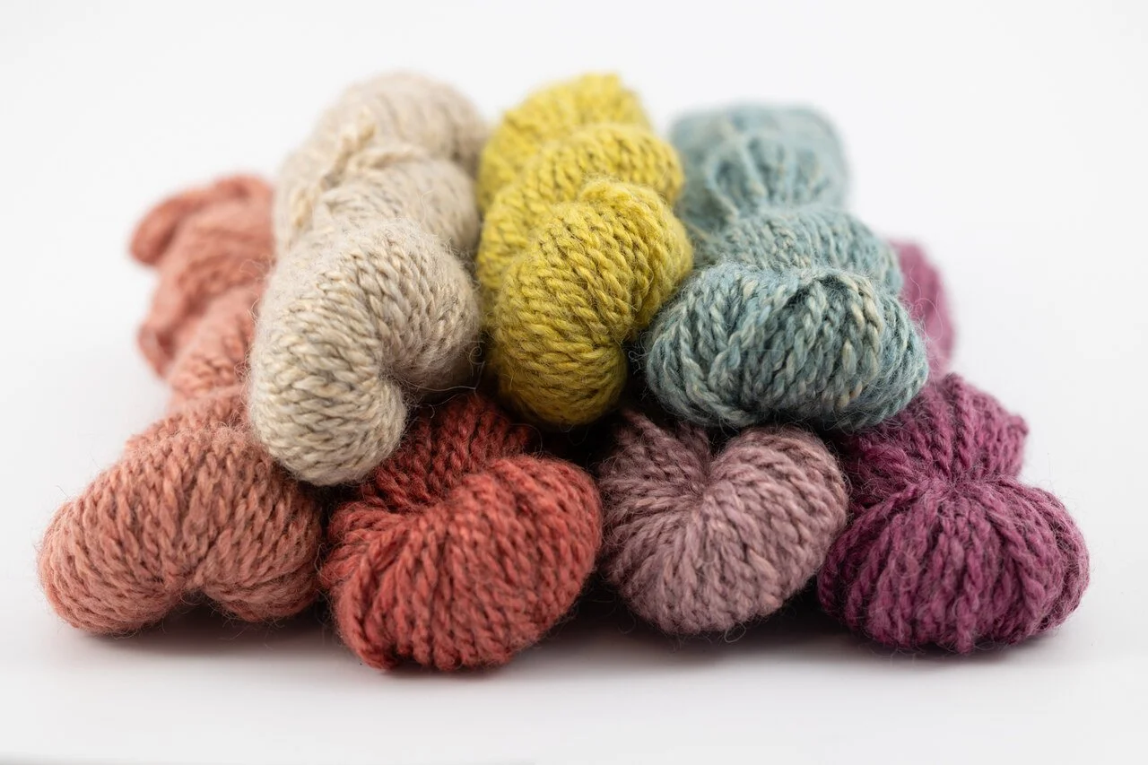 Colorado Teeswater Muga silk - group.jpg