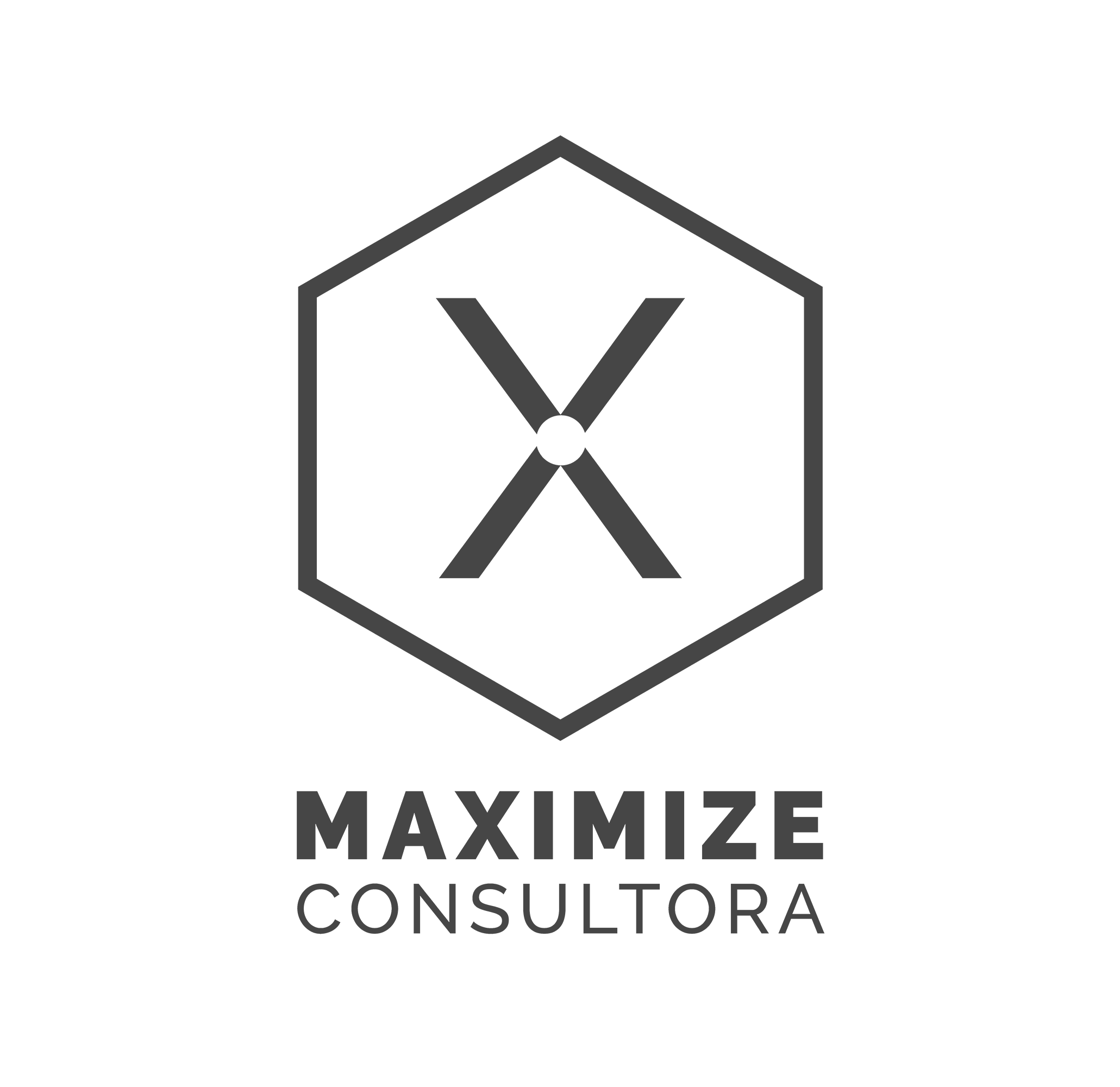 Maximize Logo.png