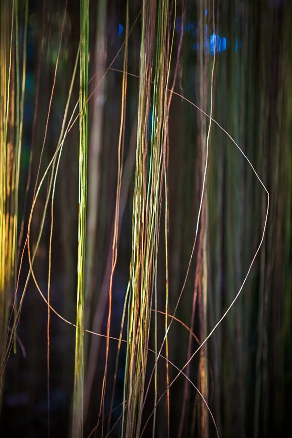 Jungle Road 12-12-44, 2012