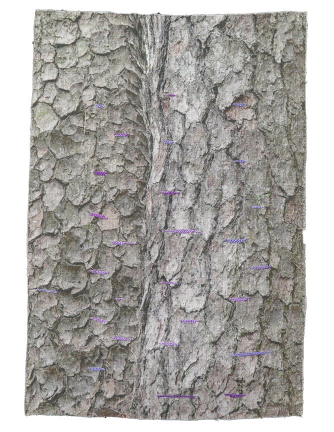 Bark Cloth, Guilin, China, 2017