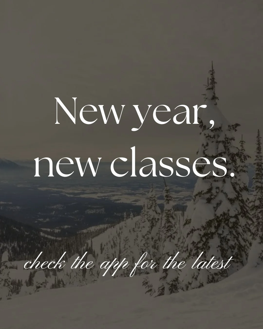 NEW classes on the schedule starting January 5th! 

Mondays - Abs and Arms Class @ 4:30pm with Hanna
Tuesdays - Abs and Booty Class @ 6:20pm with Cindy
Thursday 12:10pm will be led by Kate
Thursdays - Total Body Class @ 6:20pm with Cindy
Sundays - To