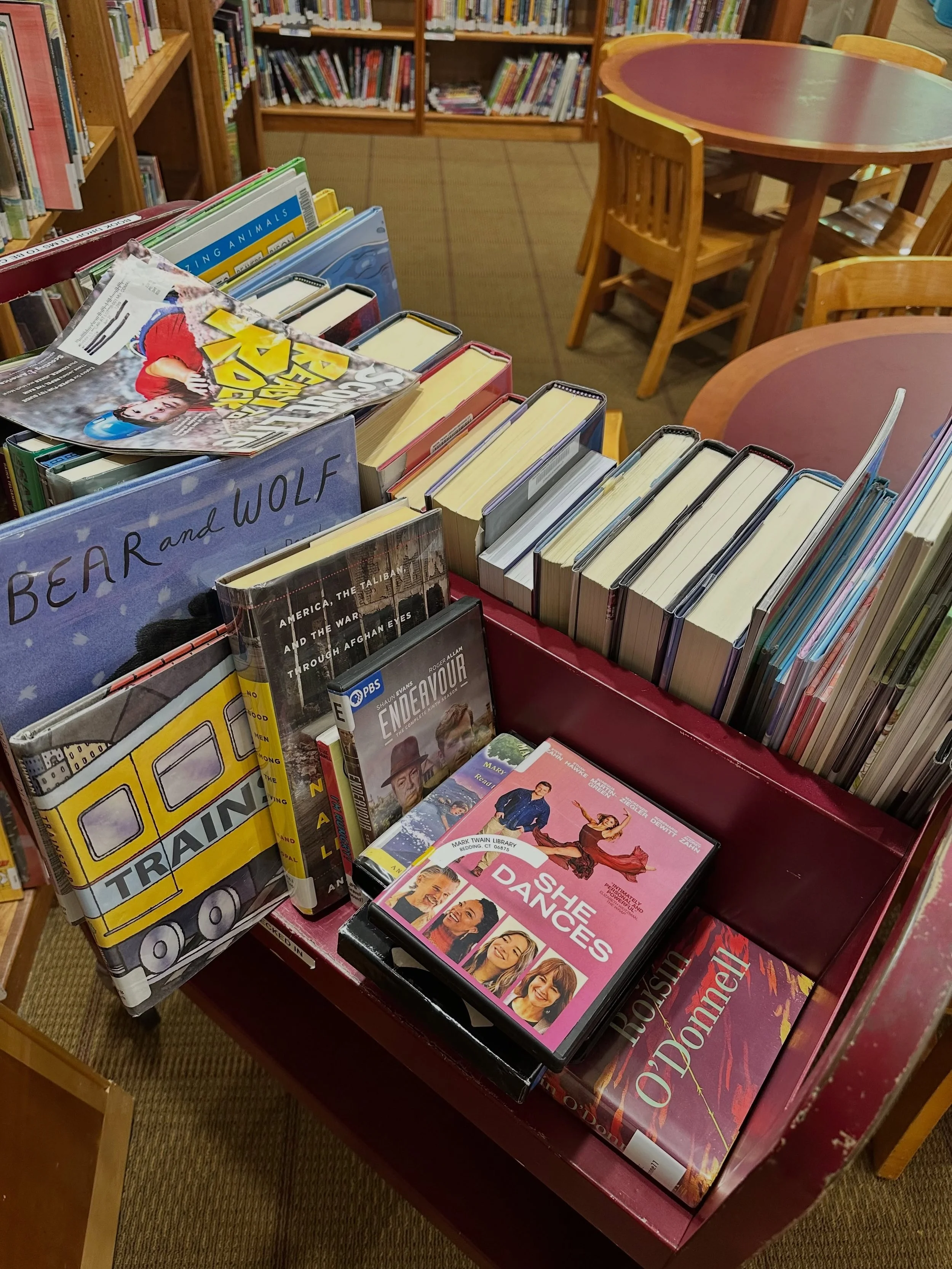 @shedancesthemovie is closer than you might think! Thanks to our friends at the Mark Twain Library in Redding, CT for sending this in. Check your local library friends, you just might find a copy of @shedancesthemovie in the stacks!