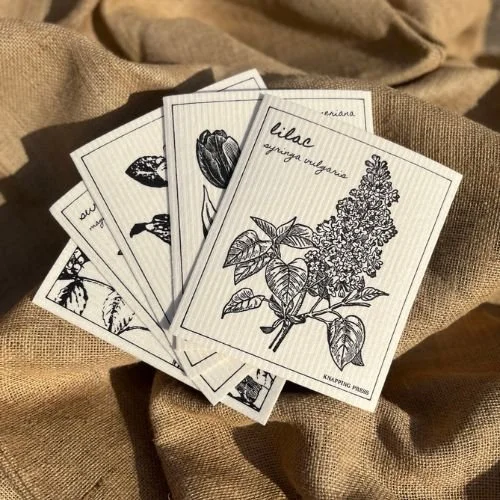 Set of five botanical illustration flashcards with sketches of a lilac flower, a tulip, a butterfly, a butterfly wing, and a fruit, placed on a textured fabric surface.