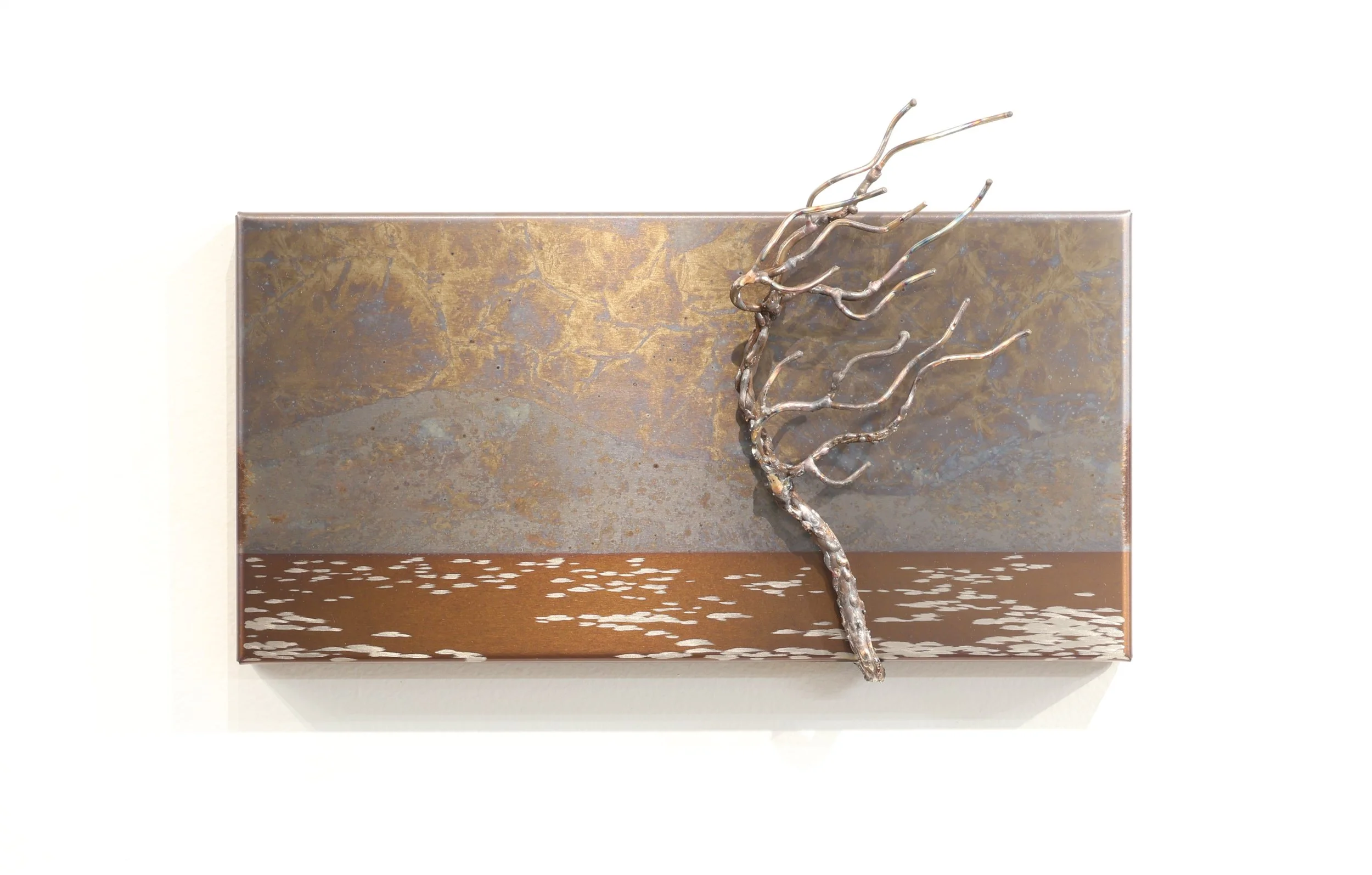 Landscape   
6"x12"x2"          
stainless steel 
$ 400    