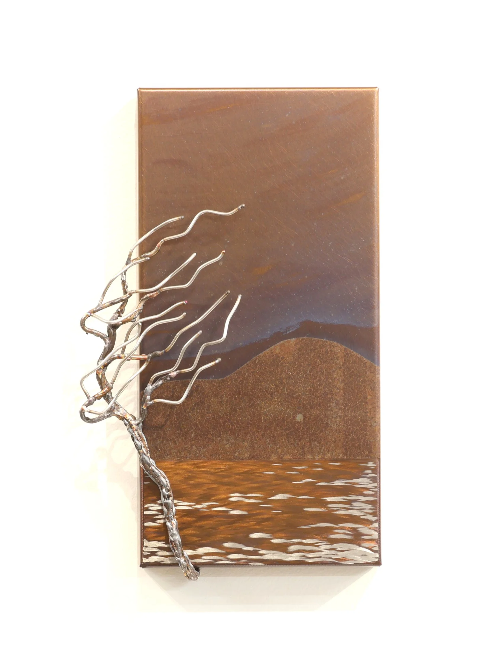 Landscape   
12"x6"x2"          
stainless steel 
$ 400    