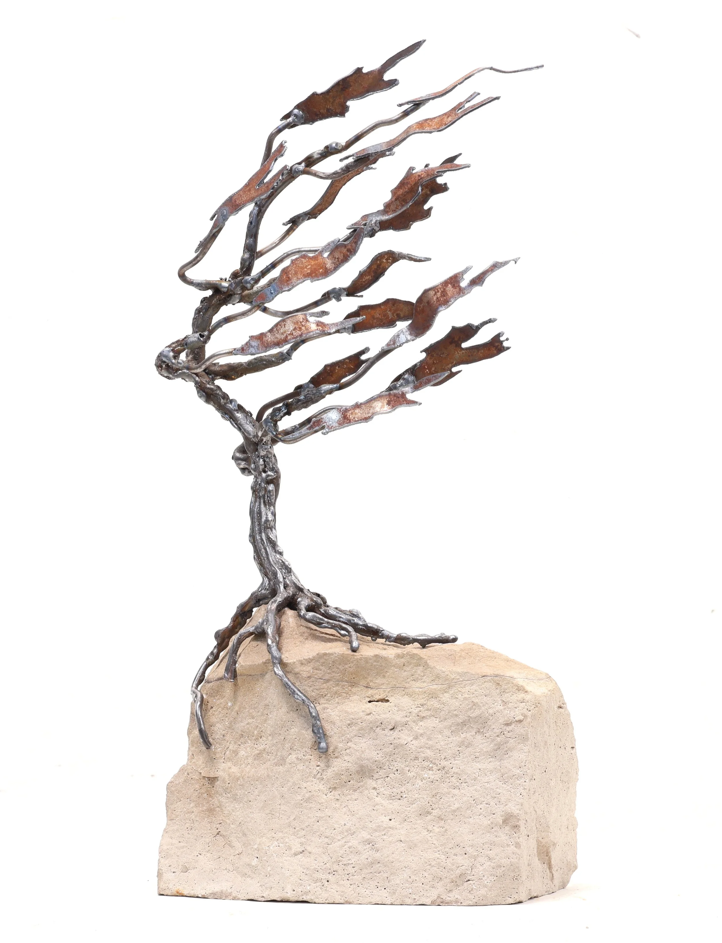 Rooted on a Rock #26-157  
14"x8"x3"          
Steel + stone  
$ 650    