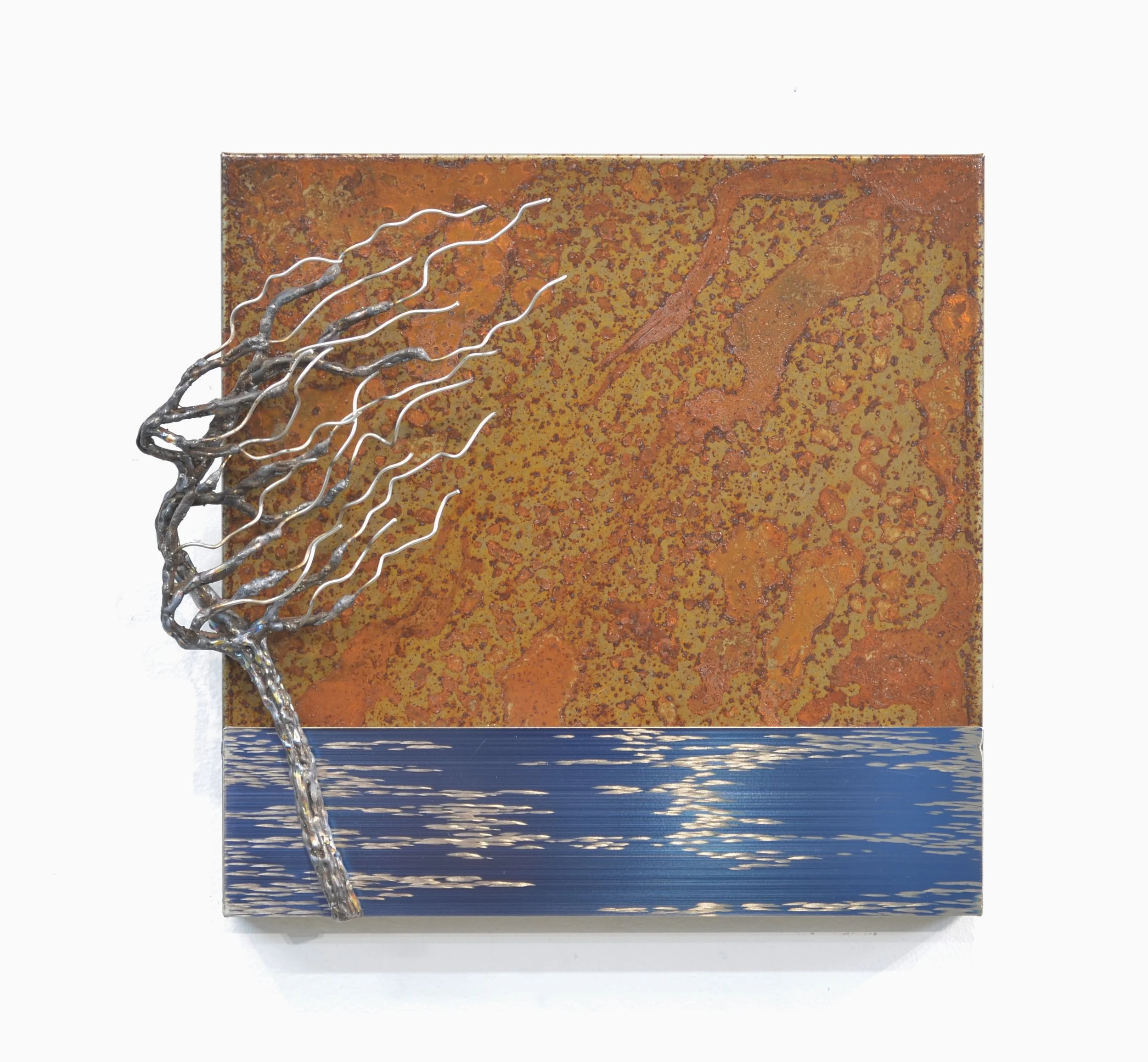 Landscape #24-648  
12"x12"x3"          
steel and stainless steel 
$ 500    