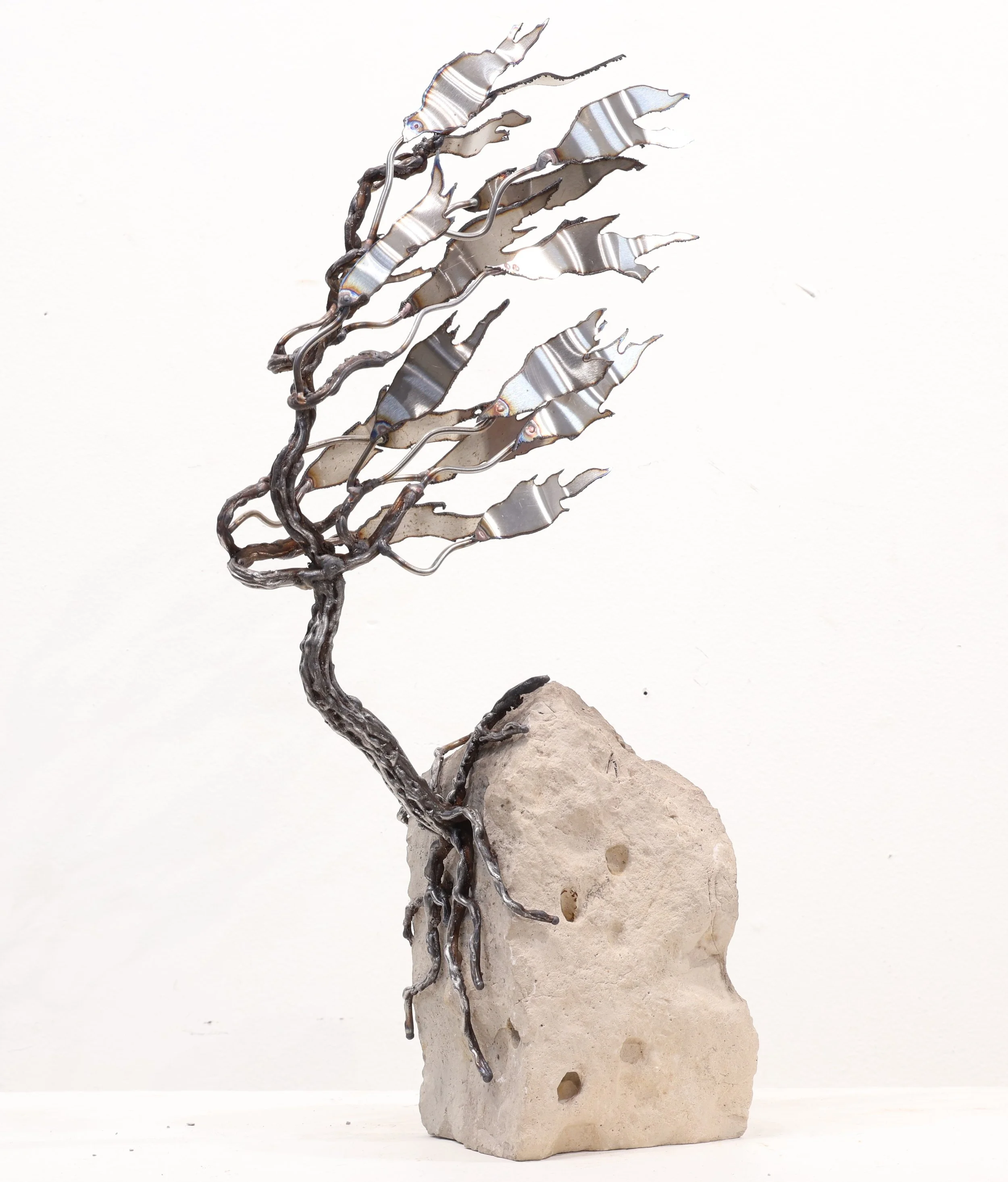 Rooted on a Rock #26-162  
19"x9"x5"          
Steel + stone  
$ 850    