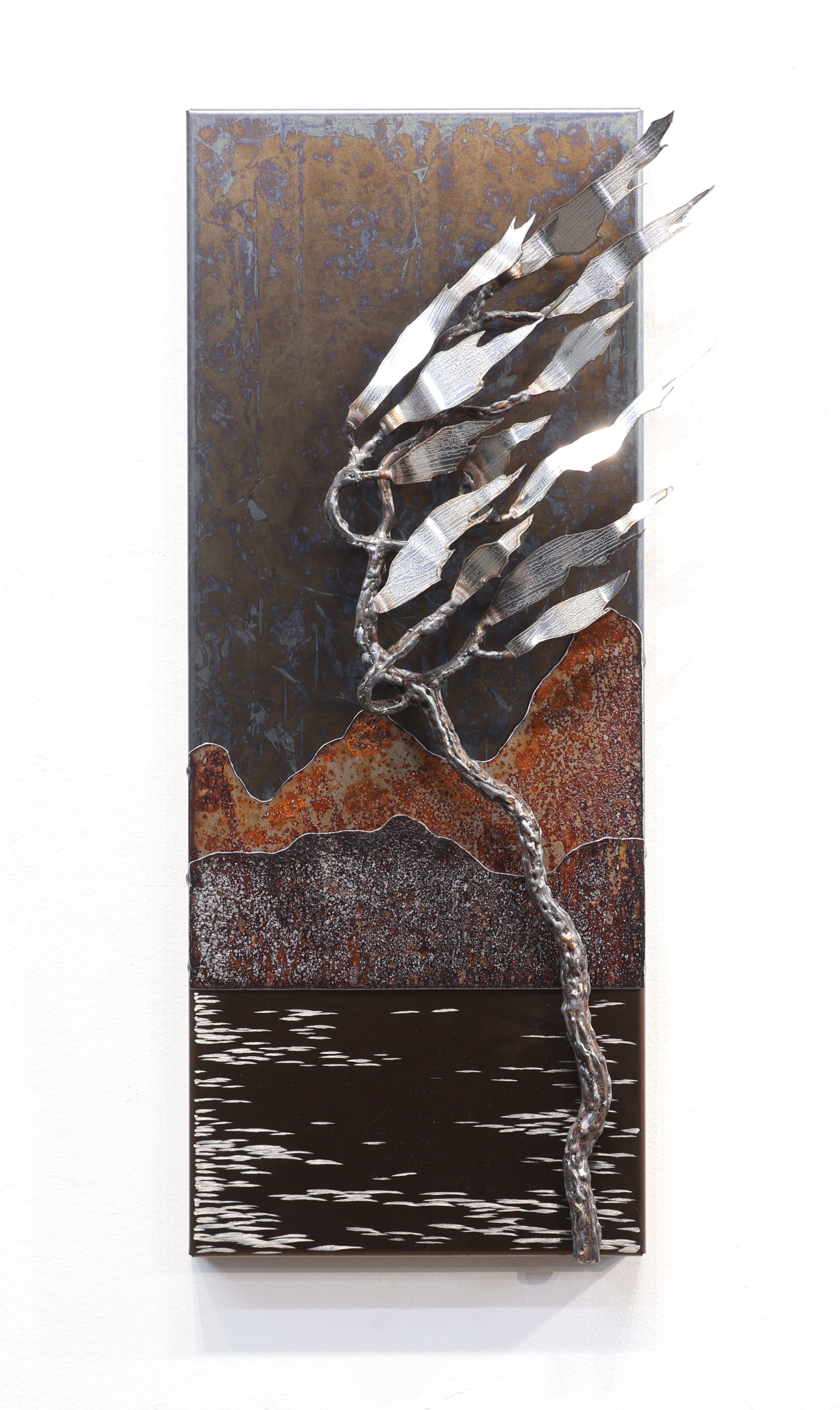 Landscape #26-117  
19"x9"x3"          
coated and uncoated steel and stainless steel 
$ 600    
