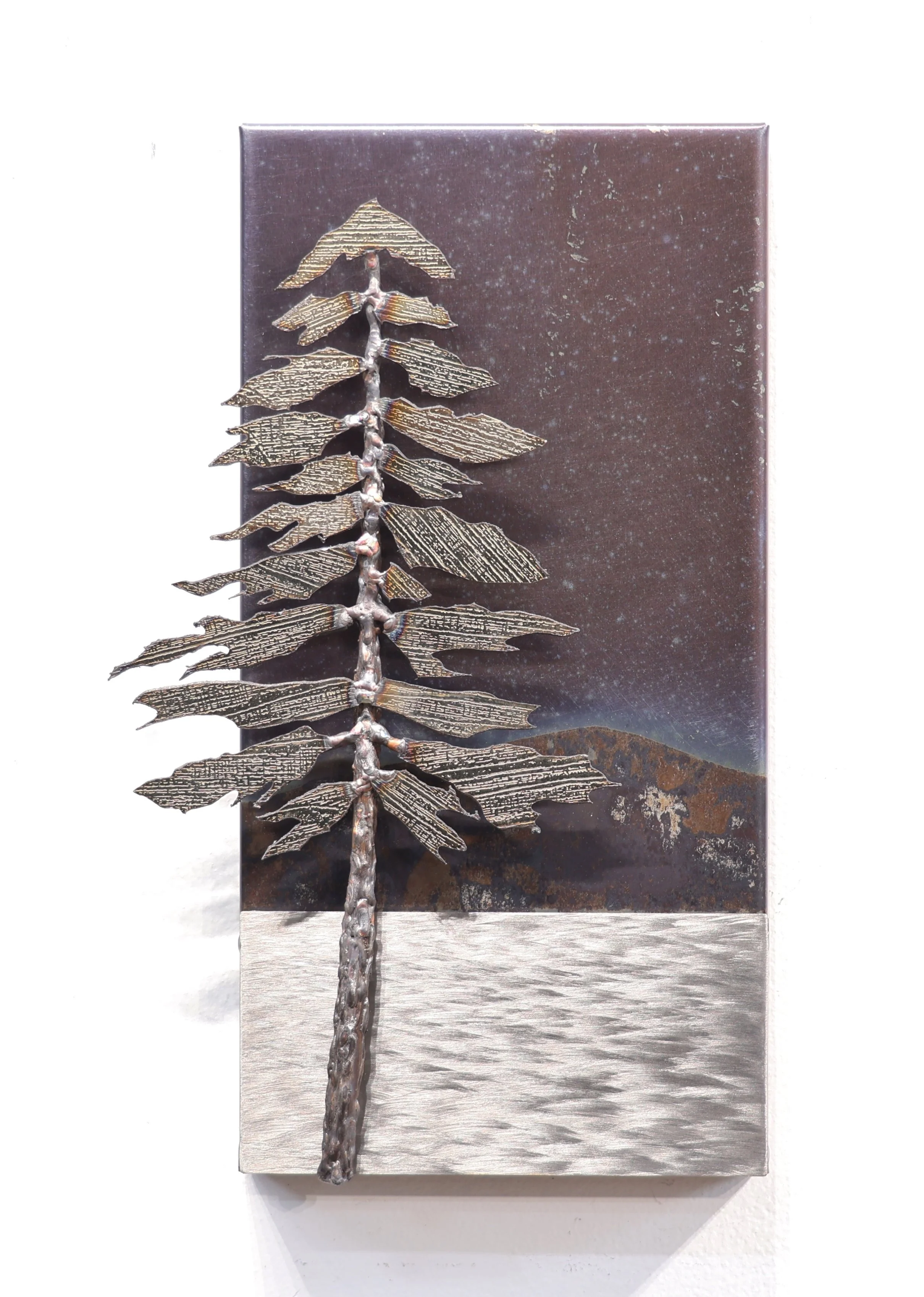 Landscape #26-109  
12"x8"x2"          
coated and uncoated stainless steel 
$ 450    
