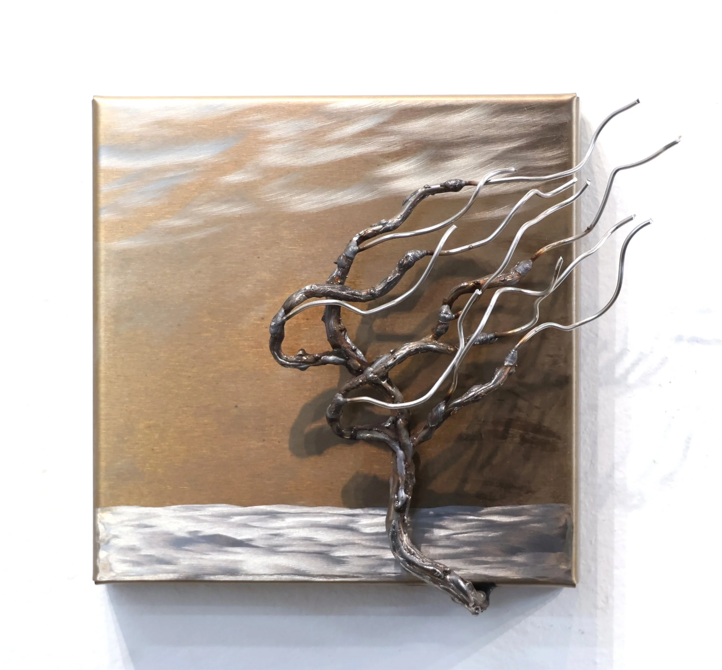 Landscape #25-389  
6"x7"x2"          
coated and uncoated stainless steel 
$ 350    