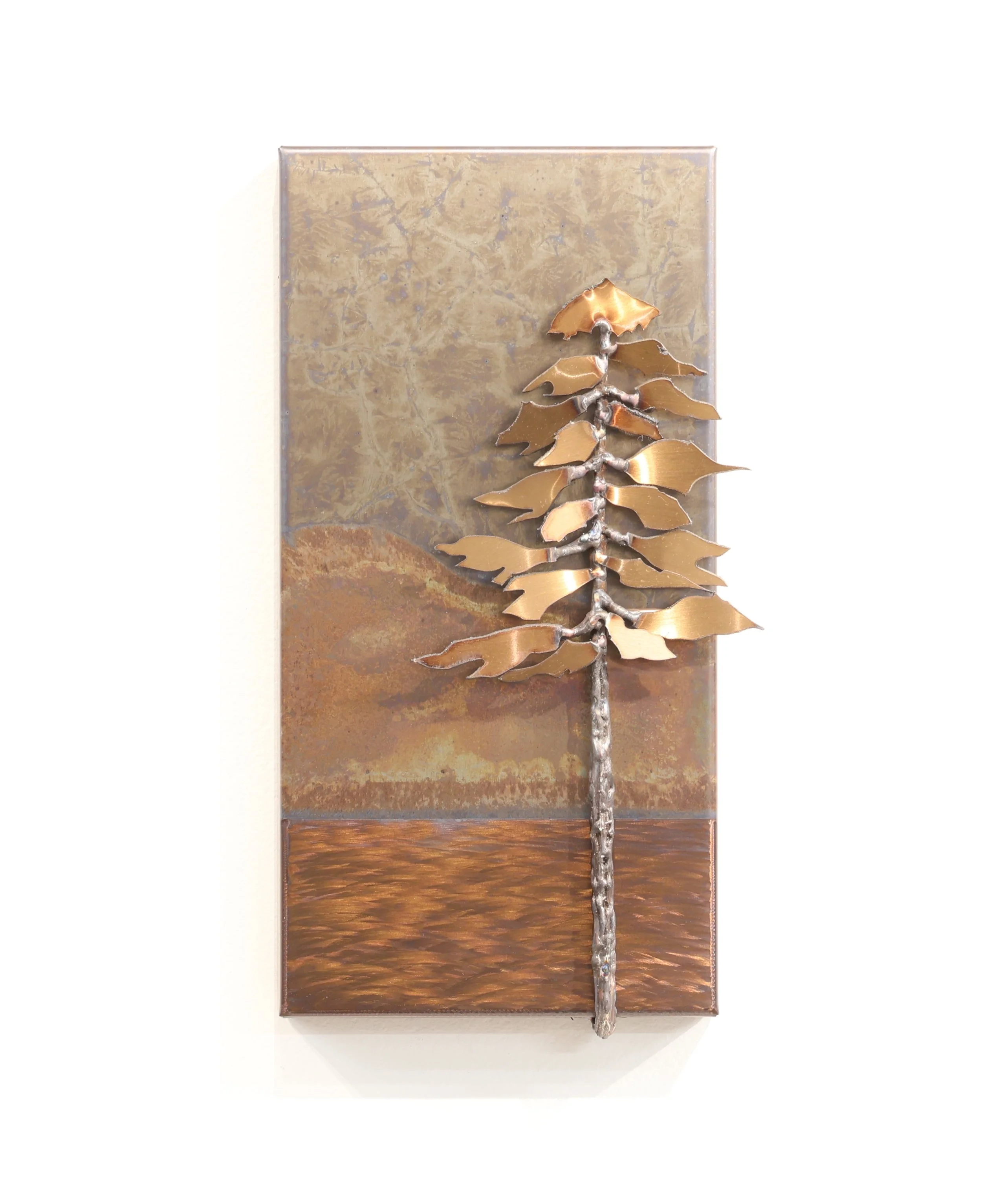 Landscape    
12"x6"x2"          
stainless steel 
$ 400    