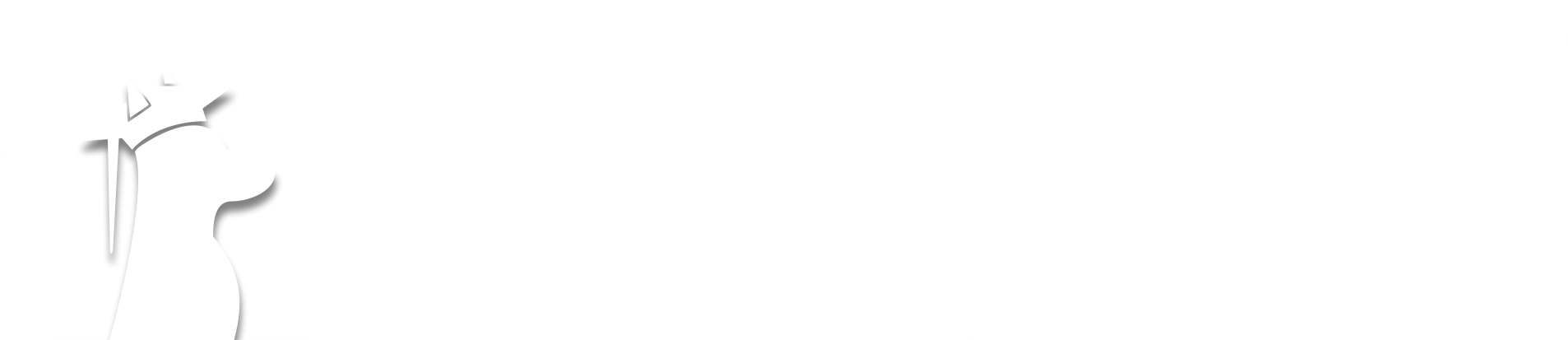 Academy Daycare
