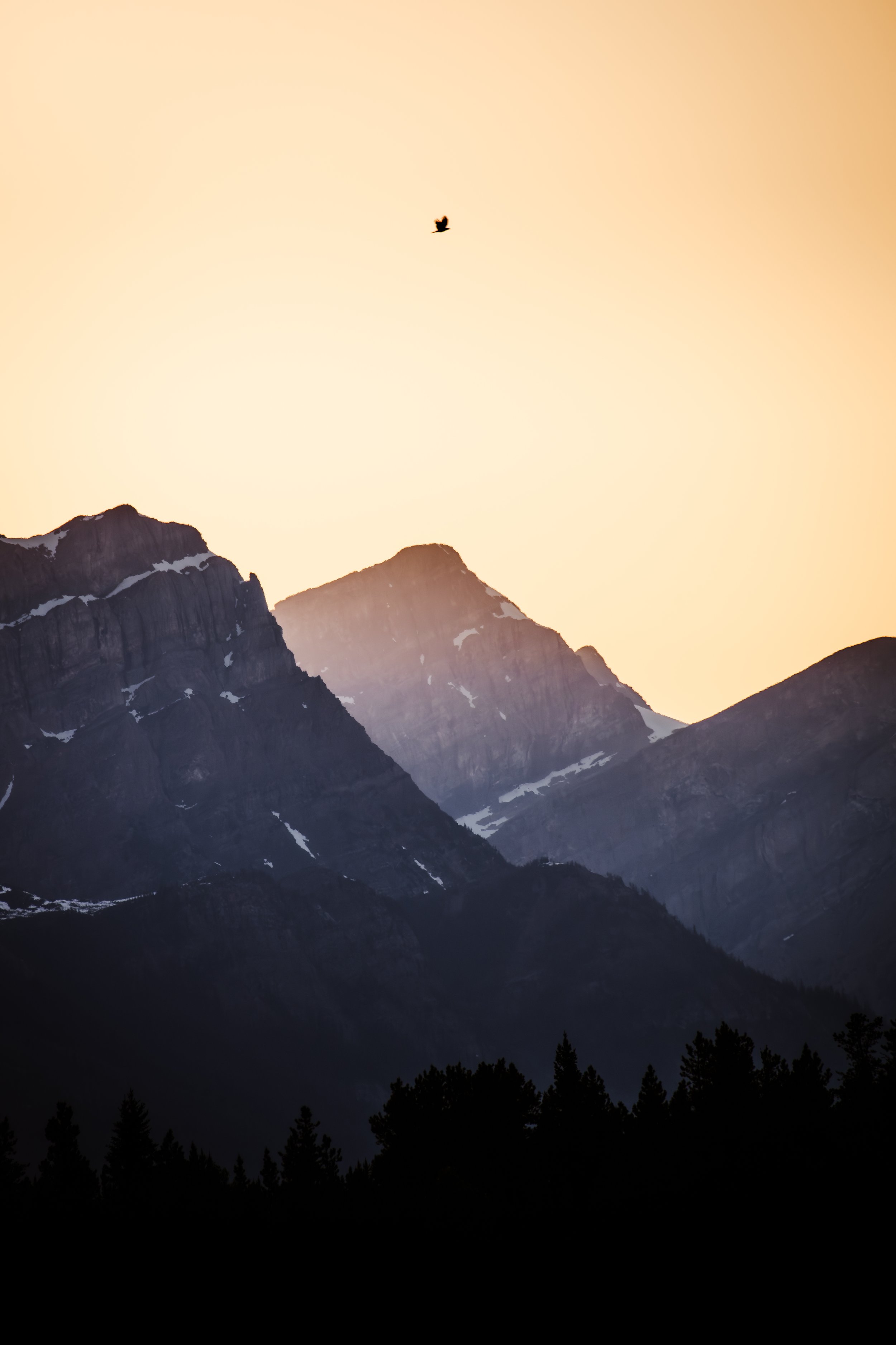 Mountains & Bird-.JPG