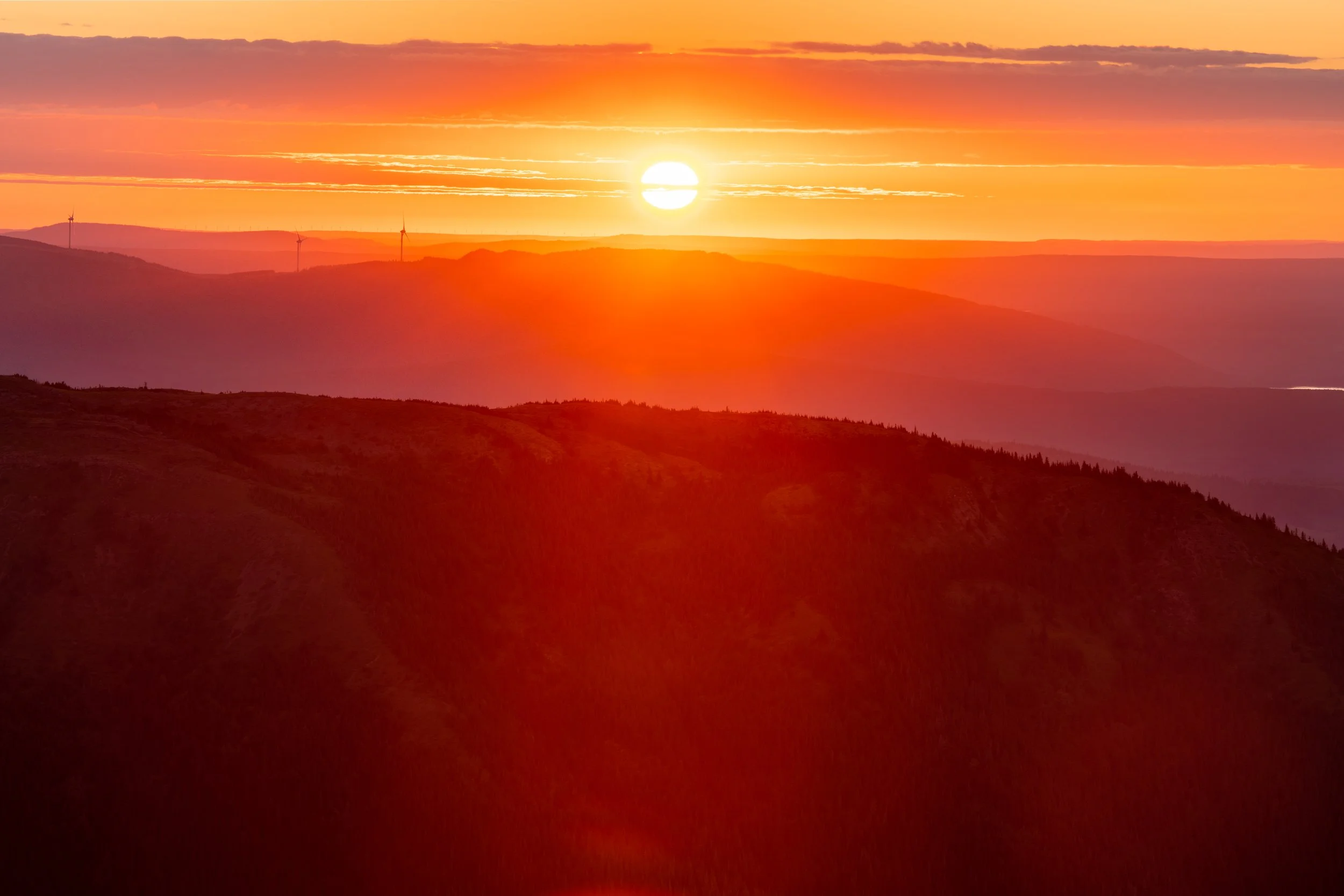 Cowmoose Sunrise.JPG