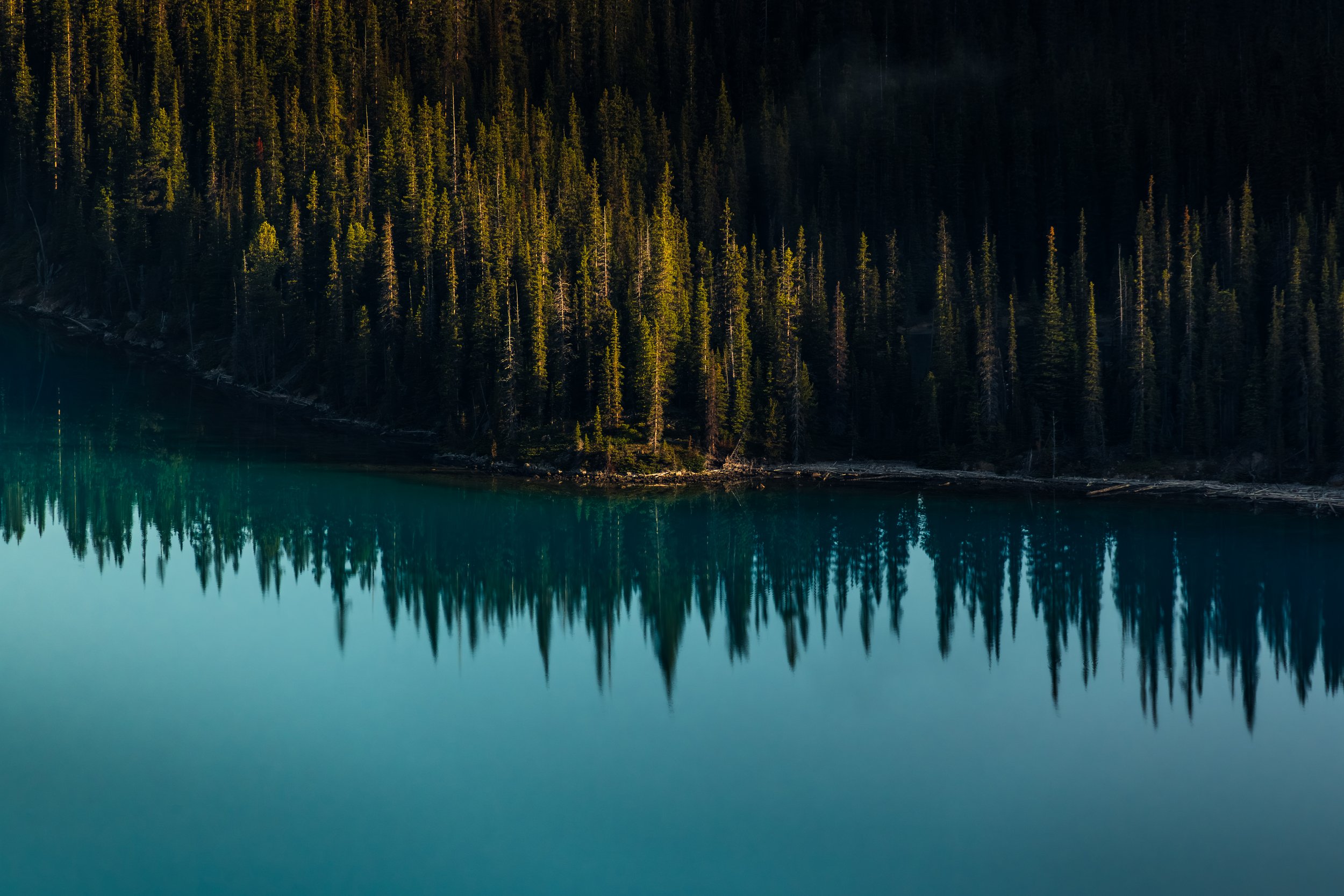 Peyto Lake Landscape-.JPG