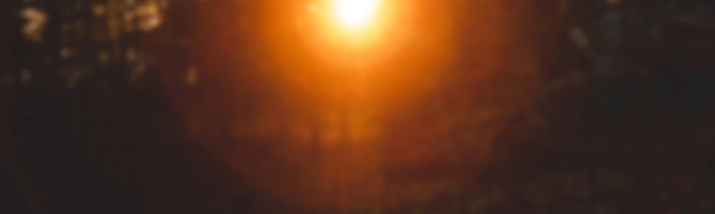 Home Lakeshore Forest Products Inc.