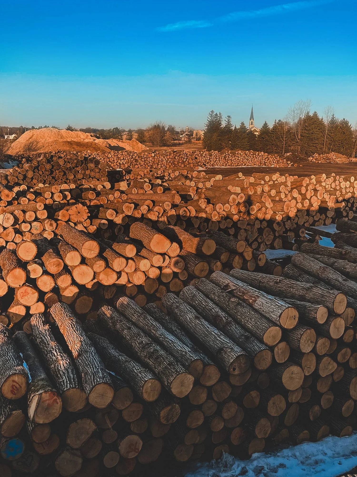 Lakeshore Forest Products Inc.