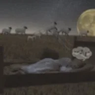 “What If” Night, Night sleep Tight Isn’t?