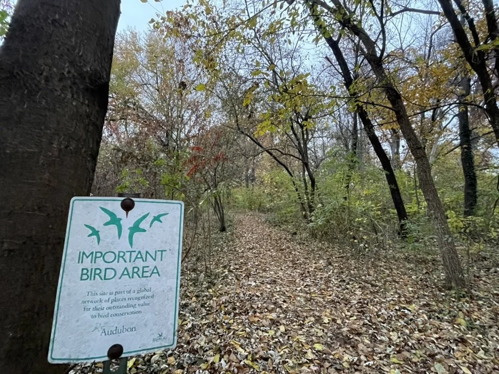 Soundwalk at Tower Grove Park