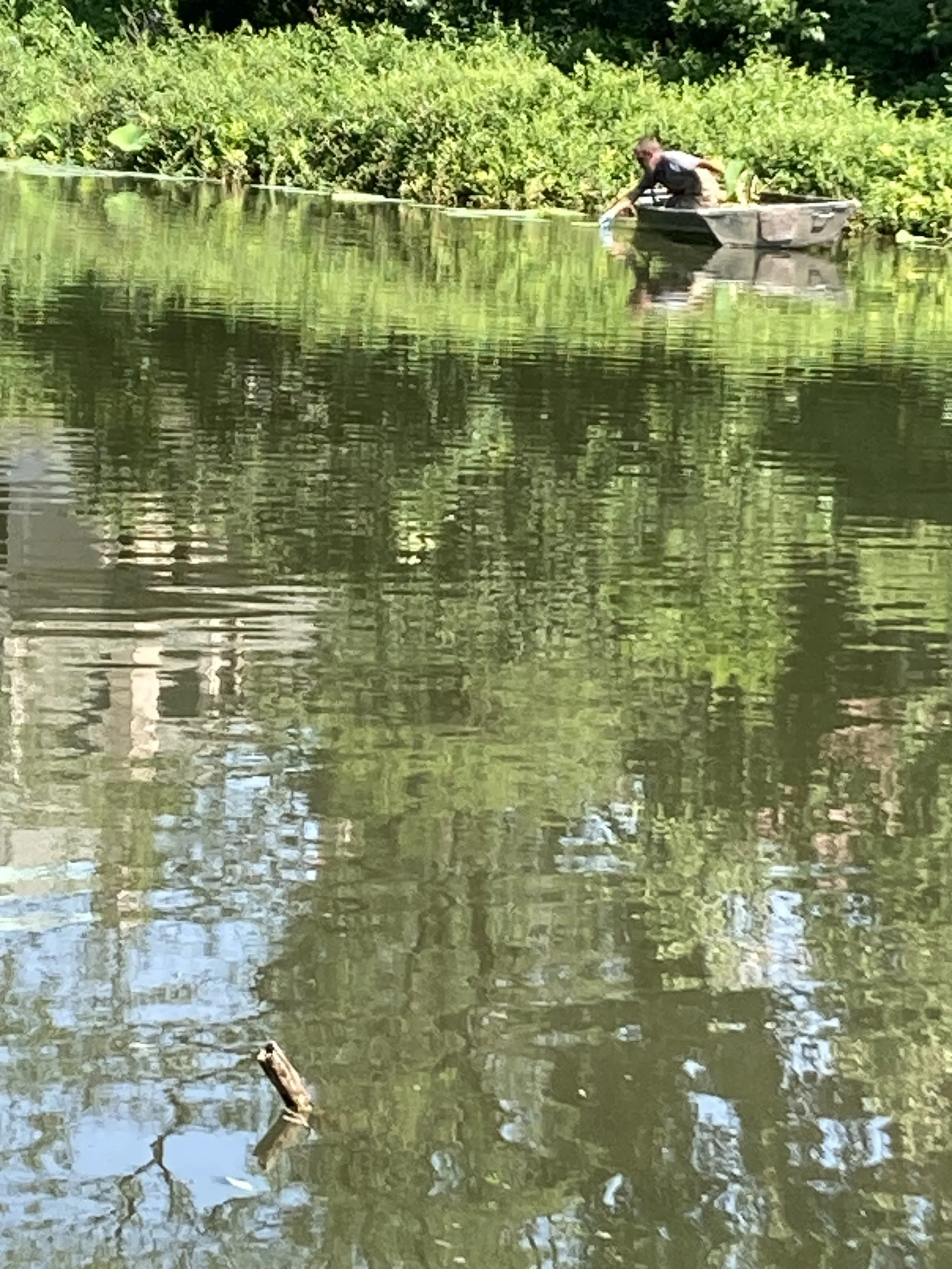 IMG_7866 - Debra Maurer.jpeg