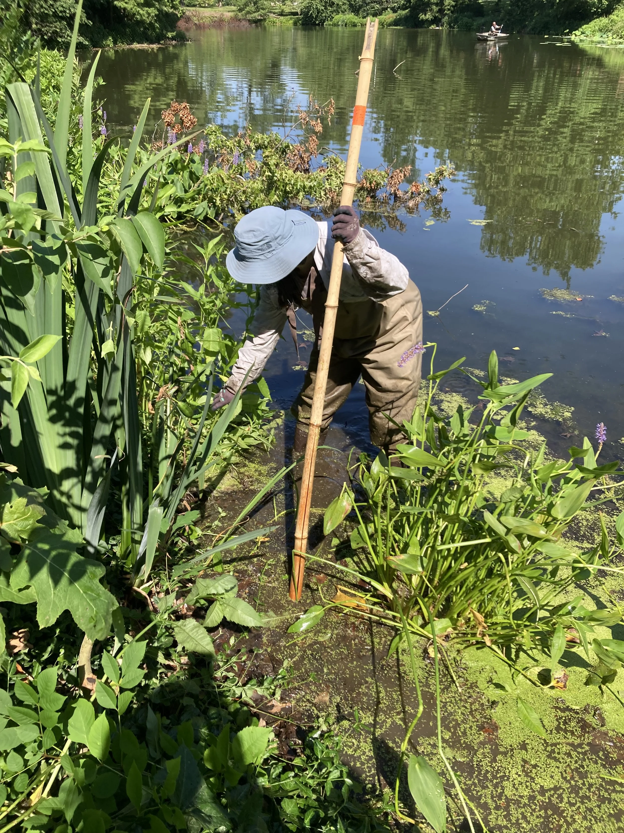 IMG_7858 - Debra Maurer.jpeg