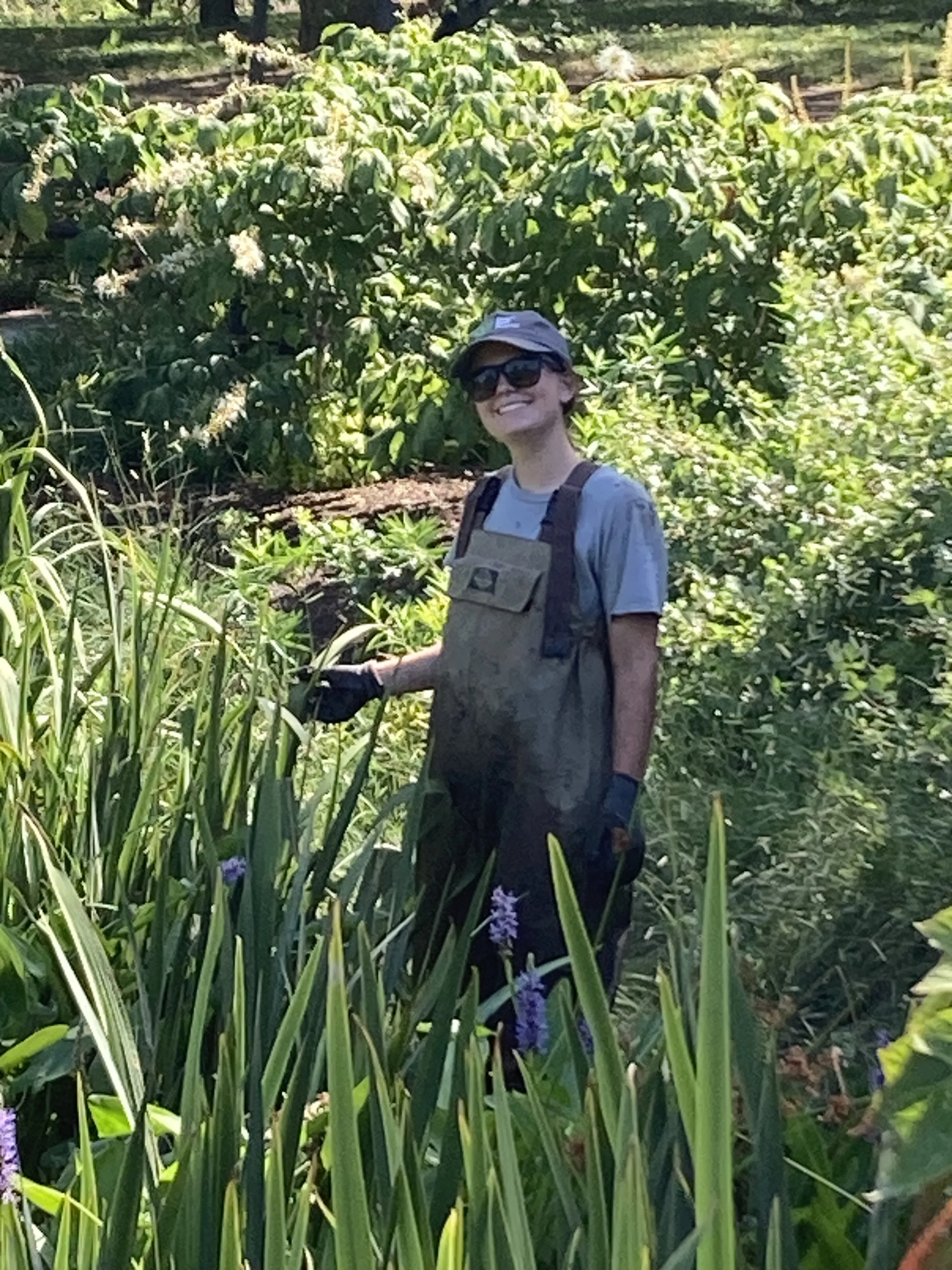 Volunteering at Forest Park Forever