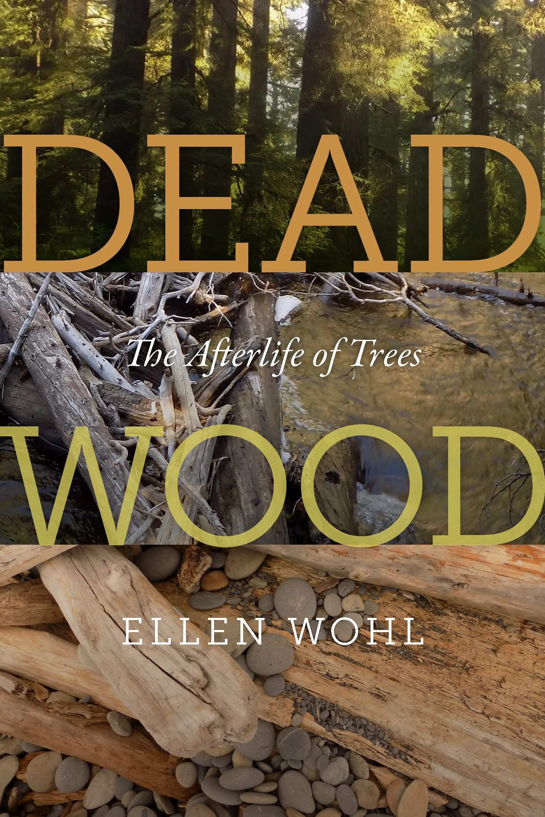 Book Review: Dead Wood