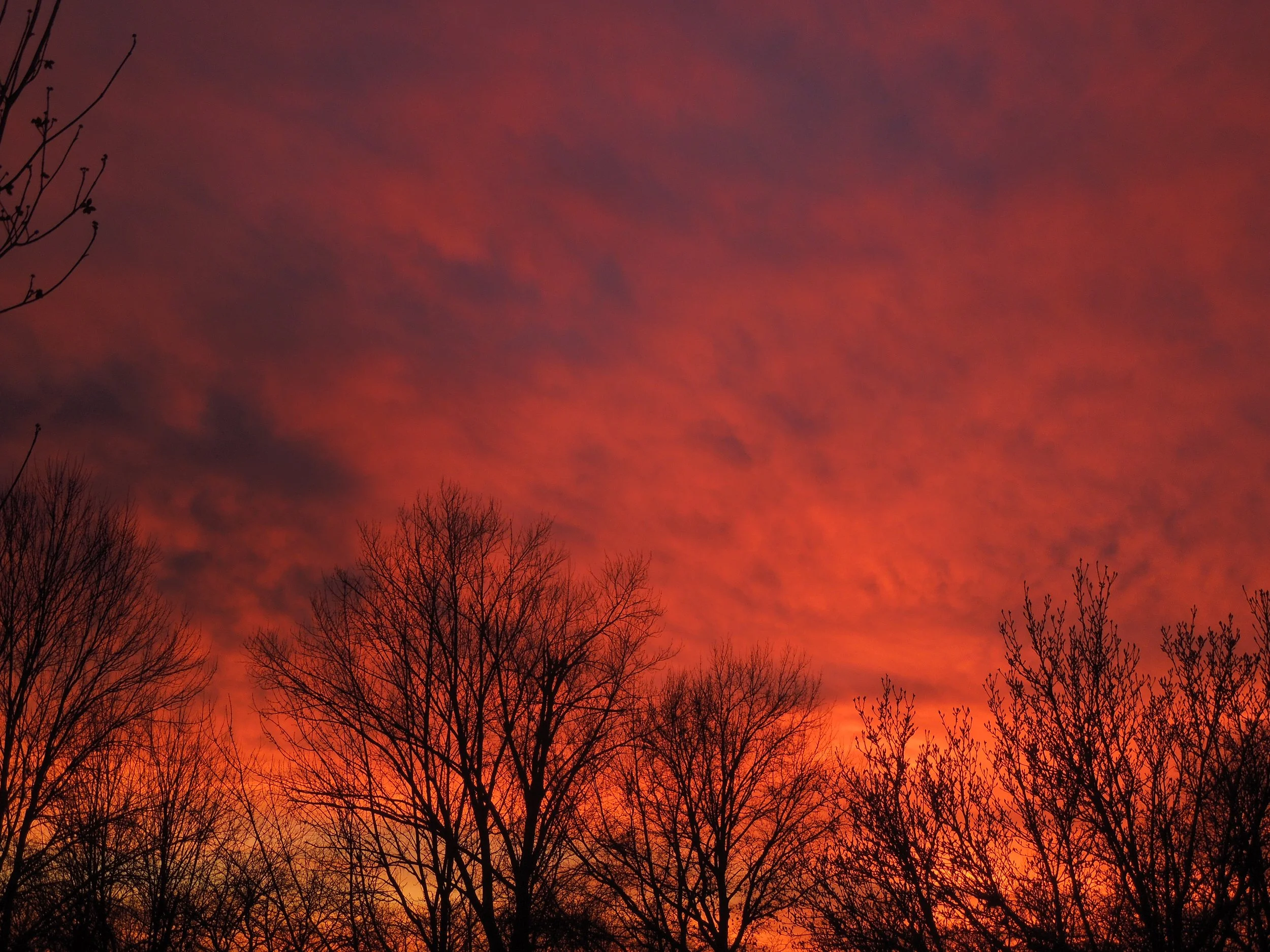  Gorgeous Winter Sunset in St. Louis   
January 2015 
Photo by Sean Tracy