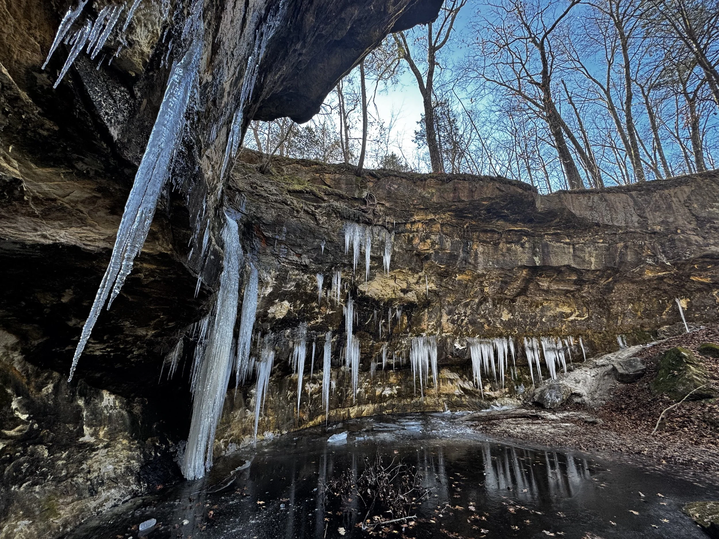  StalactICE  
January 2026 
Photo by Tessa Wasserman