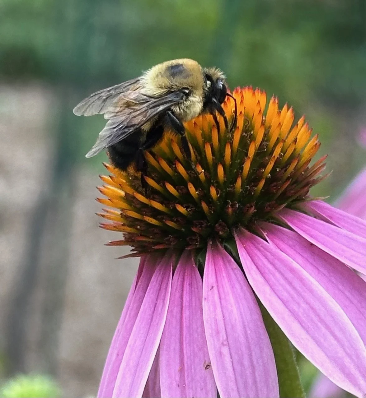 2025 - Summer, Seasonal Photos