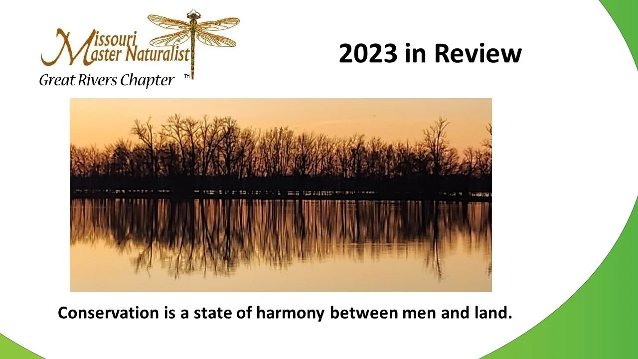 2023 Year in Review.jpg