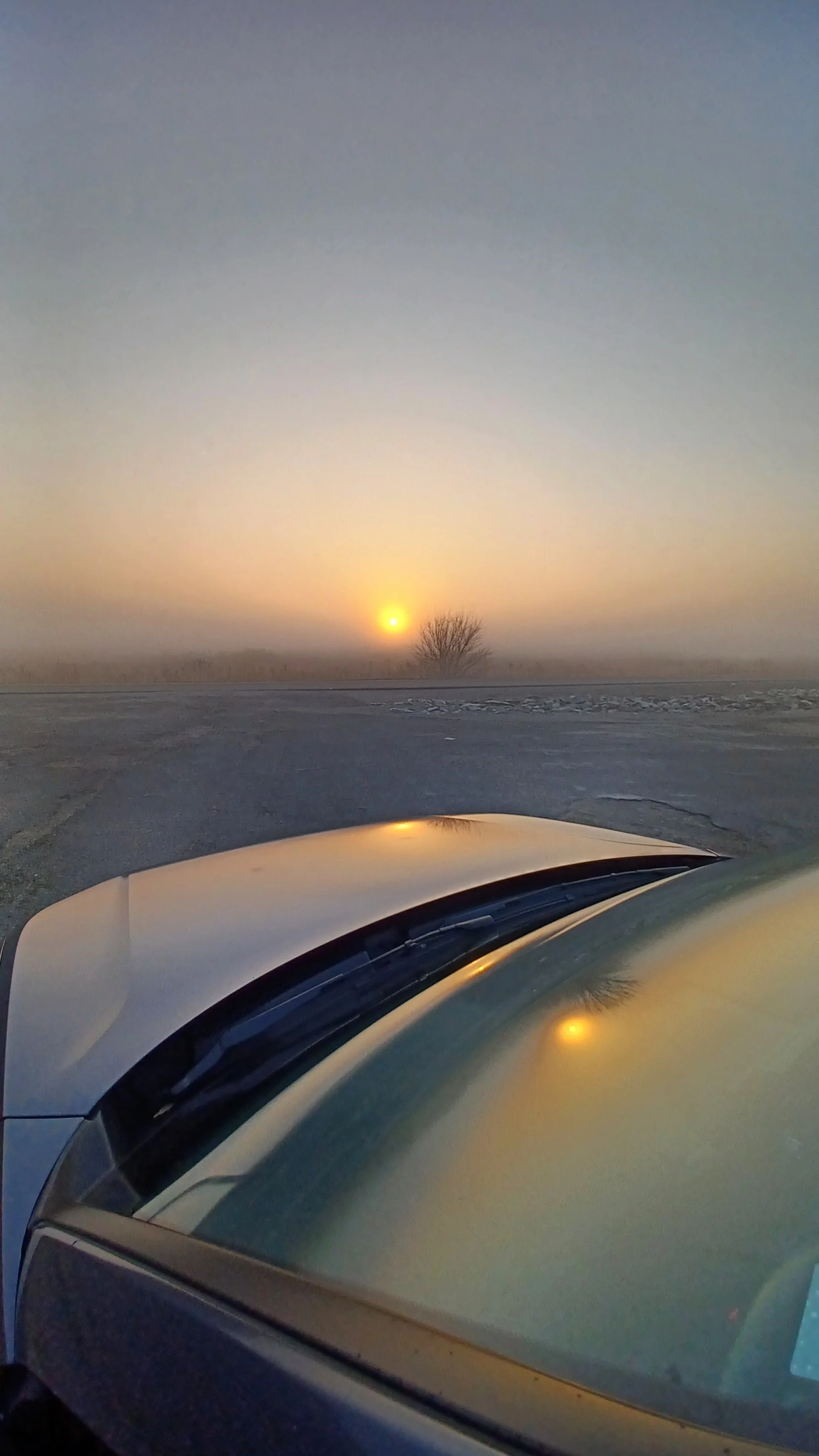  Reflection on Hood of Foggy Morning   
December 2025 
Photo by Mary Dueren