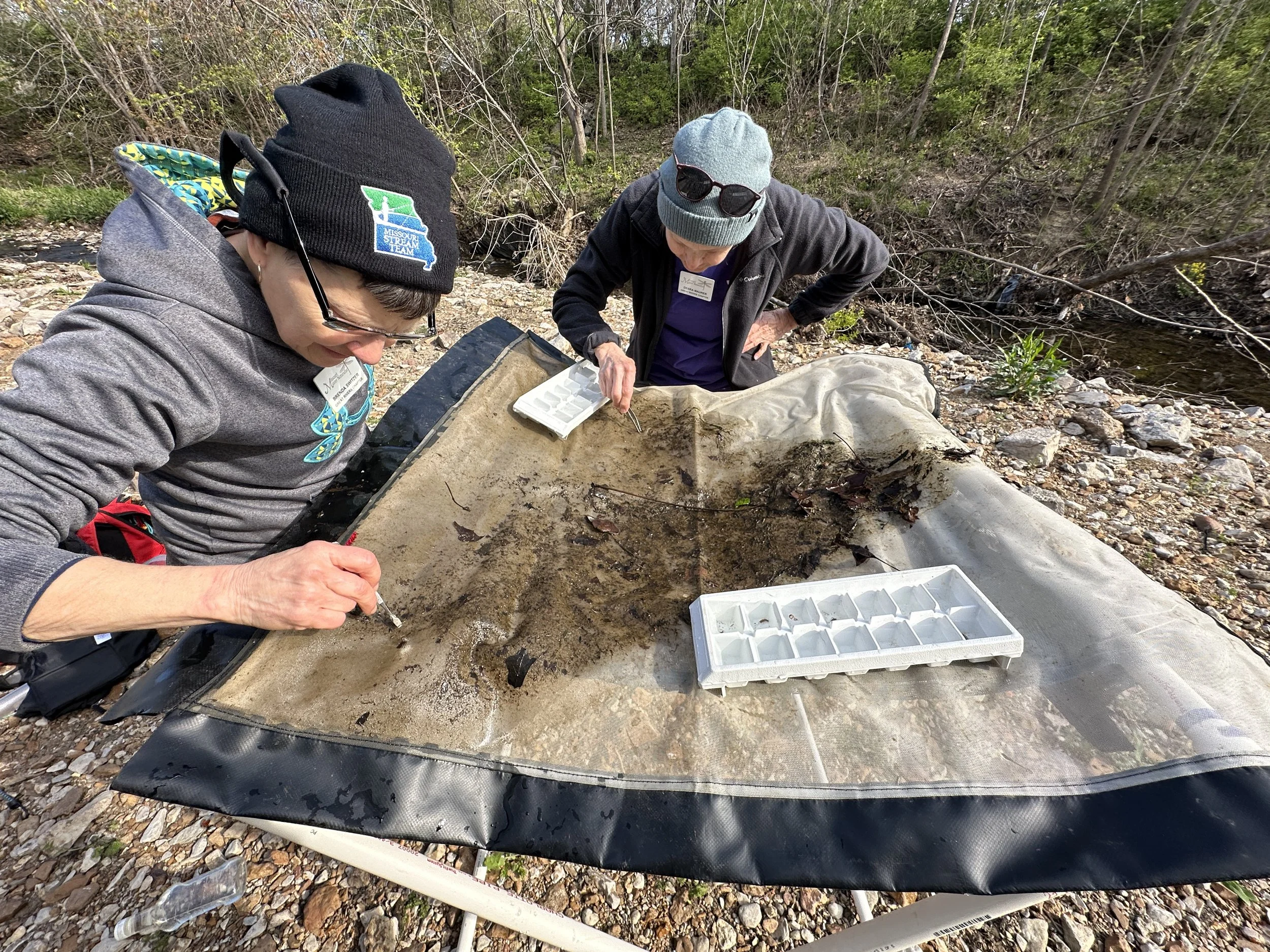  Stream Team volunteers doing a macroinvertebrate survey   in Mackenzie Creek at River Des Peres in St. Louis City April 2026 Photo by Kim Funcik