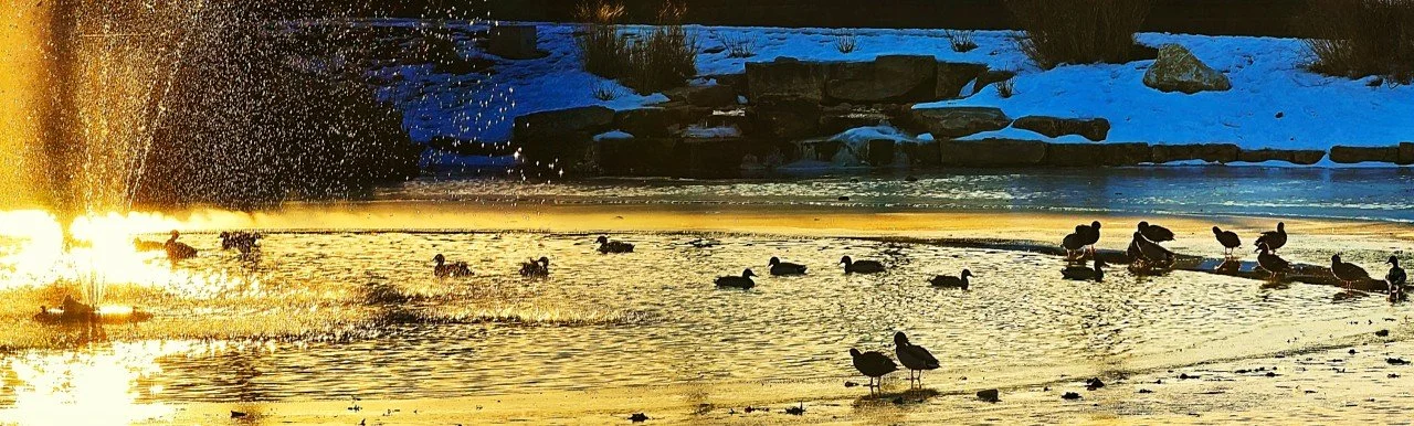 Very Cold Day at Sunrise at Tiemeyer Lake
by Geoffrey Stillwell
