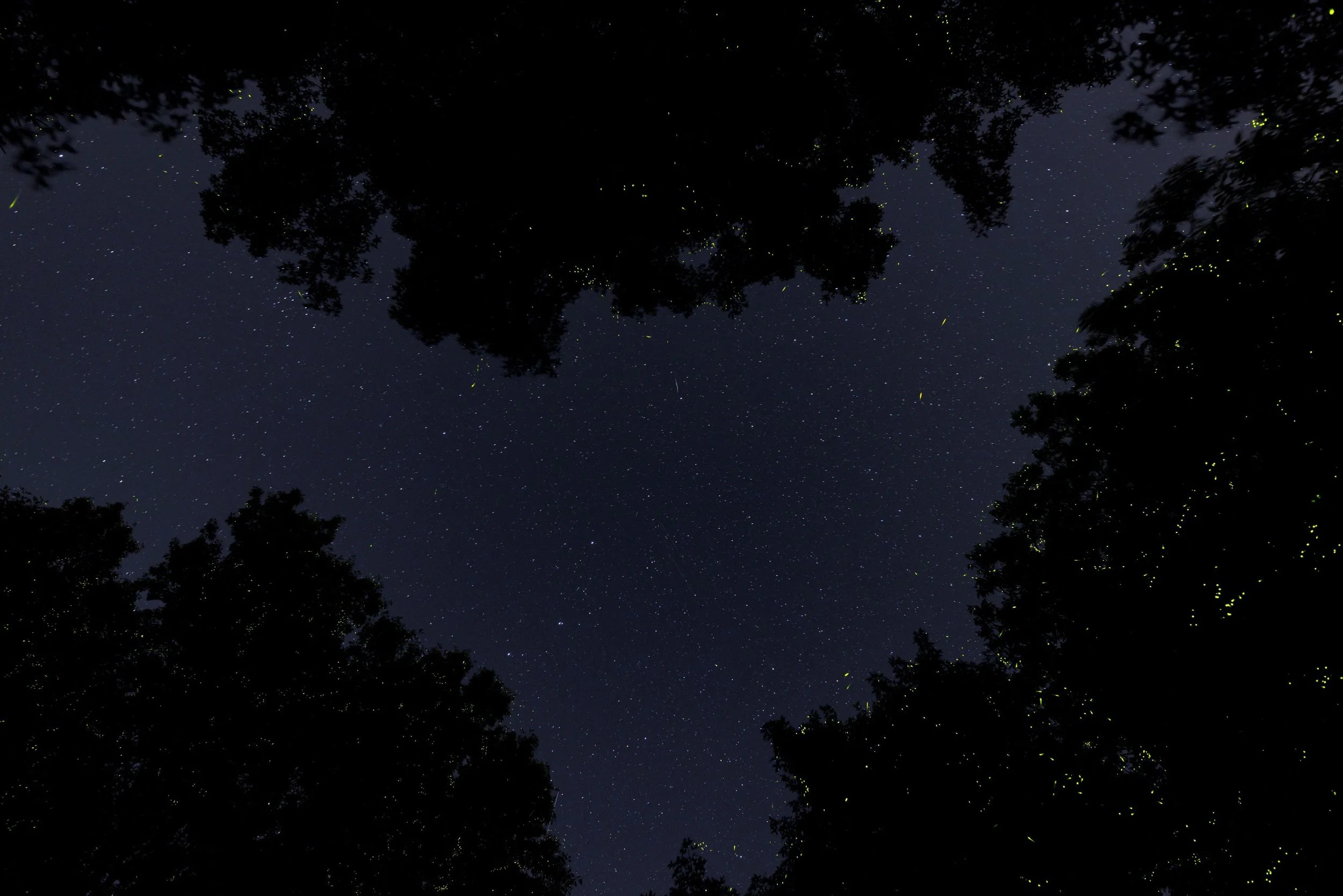 Photo by Brian Prose