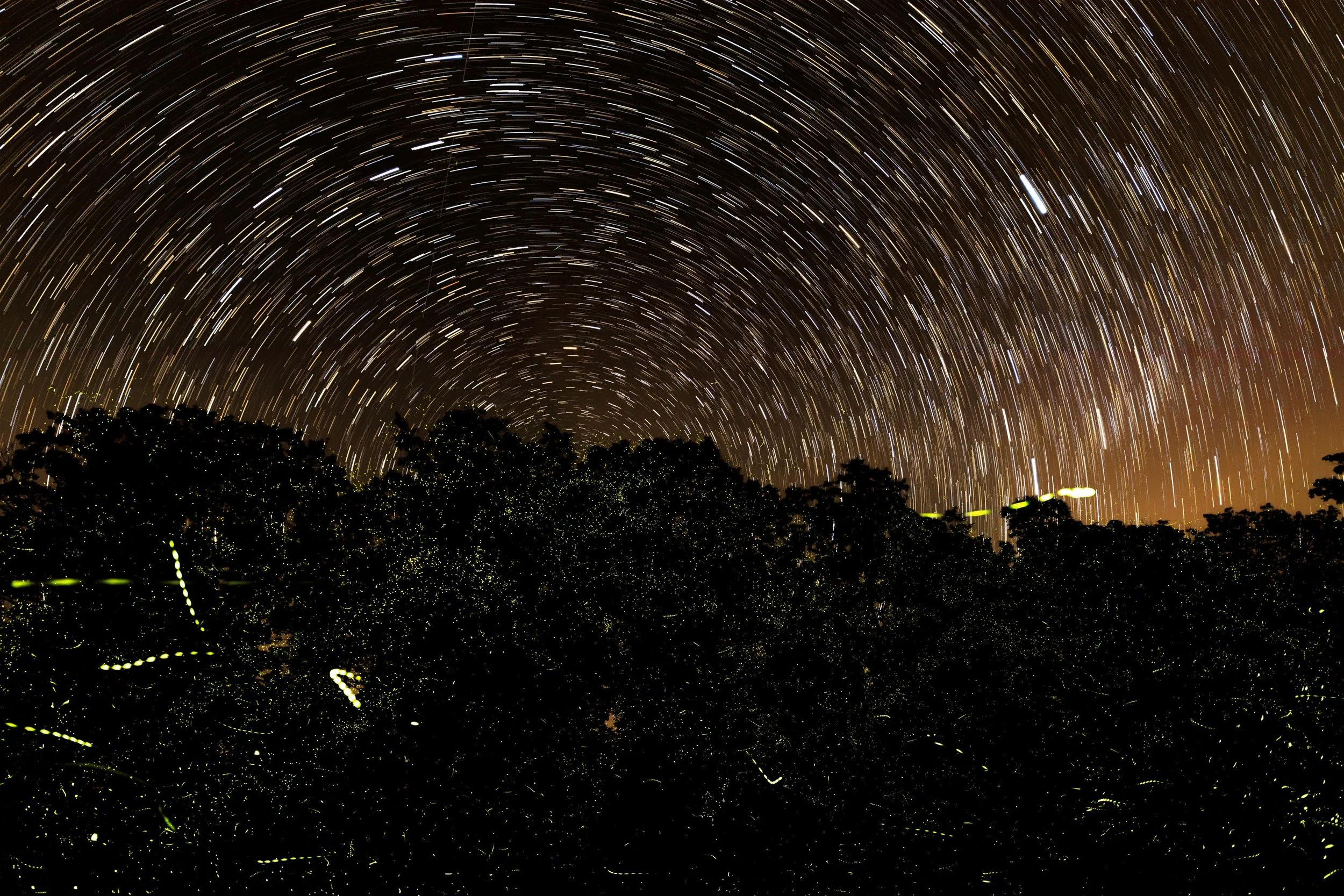 photo by Brian Prose