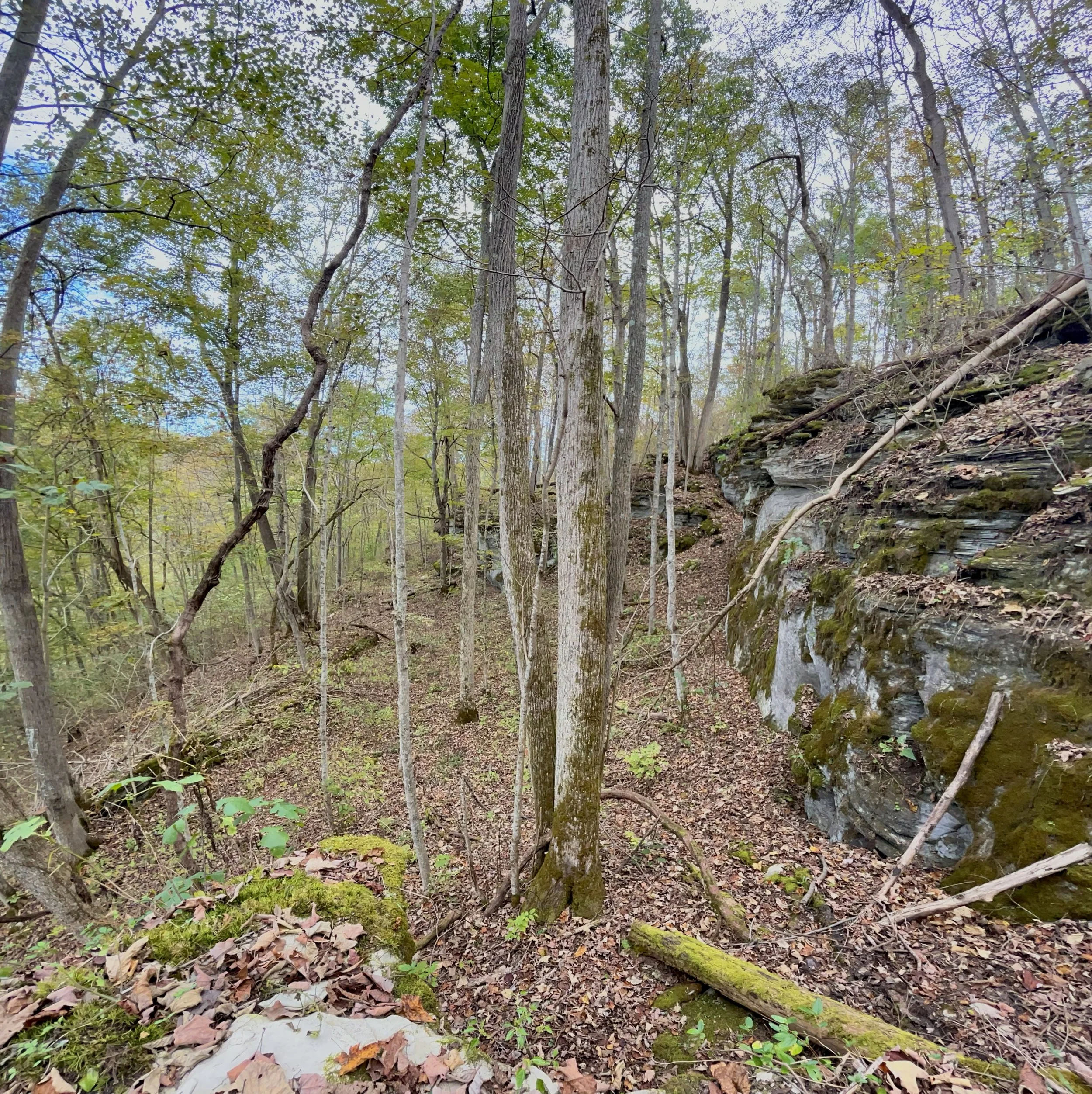 Photo Oct 06 2025, 2 53 07 PM.jpg