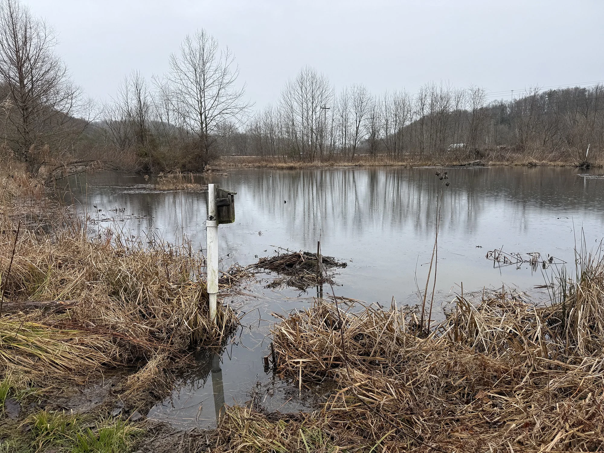 2026 Nancy S Mathias Grove (44) copy.jpg