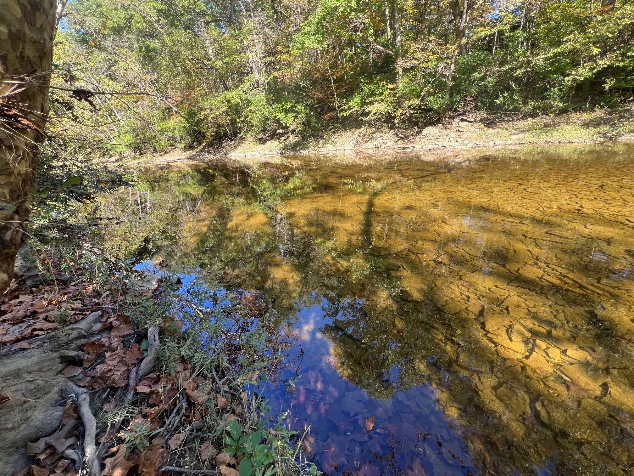 Creekbed upper east side of property.sm.jpg