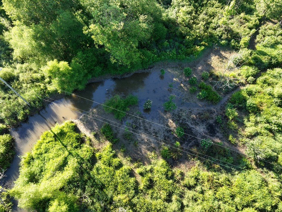 Beaver Wetlands aerial.jpg